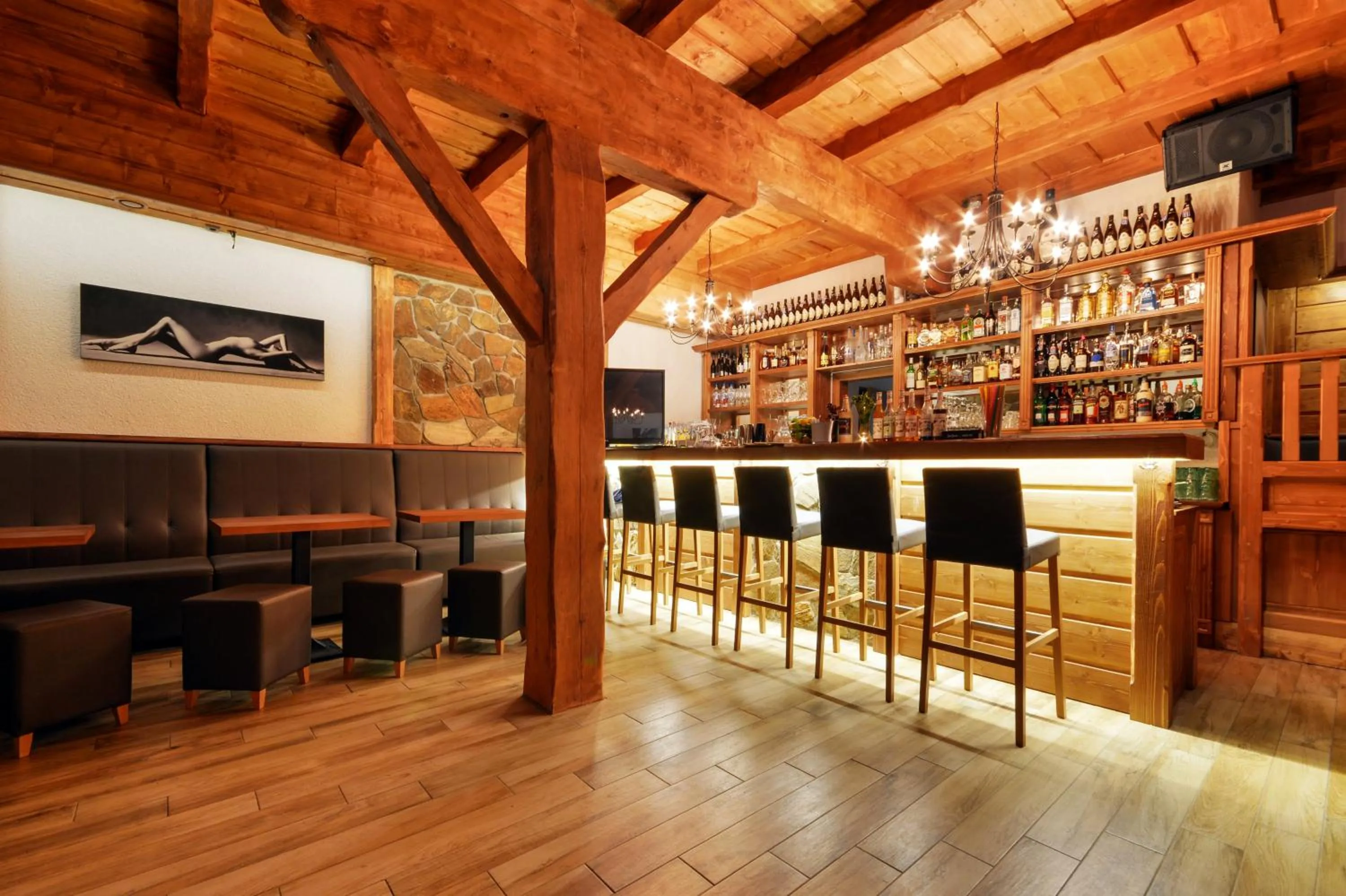 Nightclub / DJ in Wellness Hotel Ondrášův dvůr