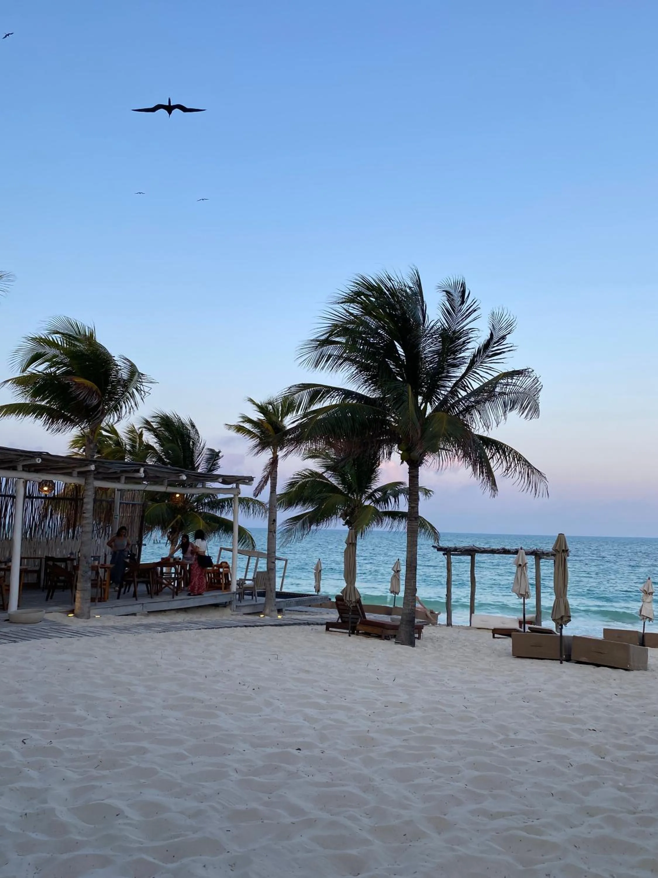 Beach in Punta Blanca Beach House