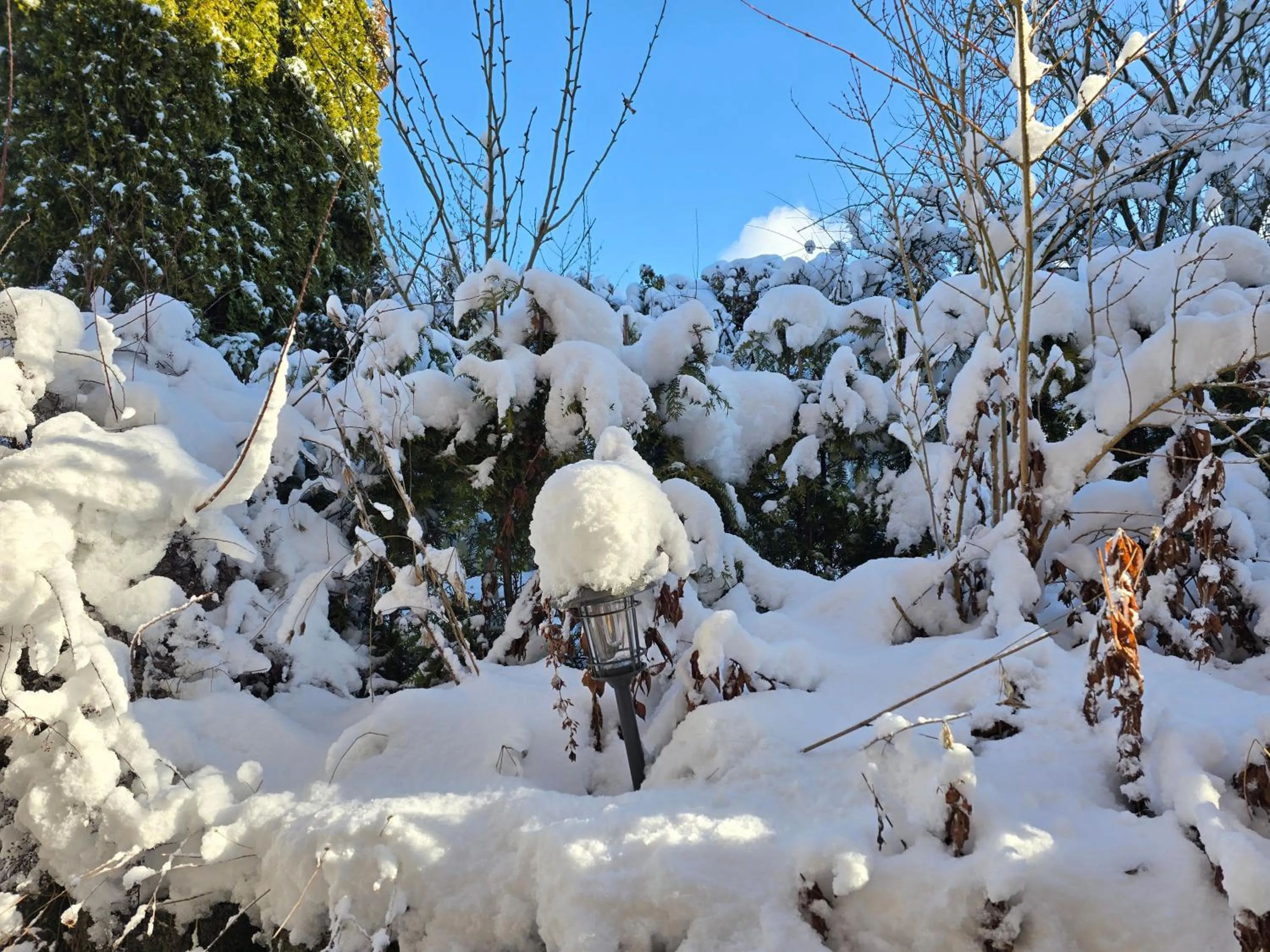 Winter in Haus Blume