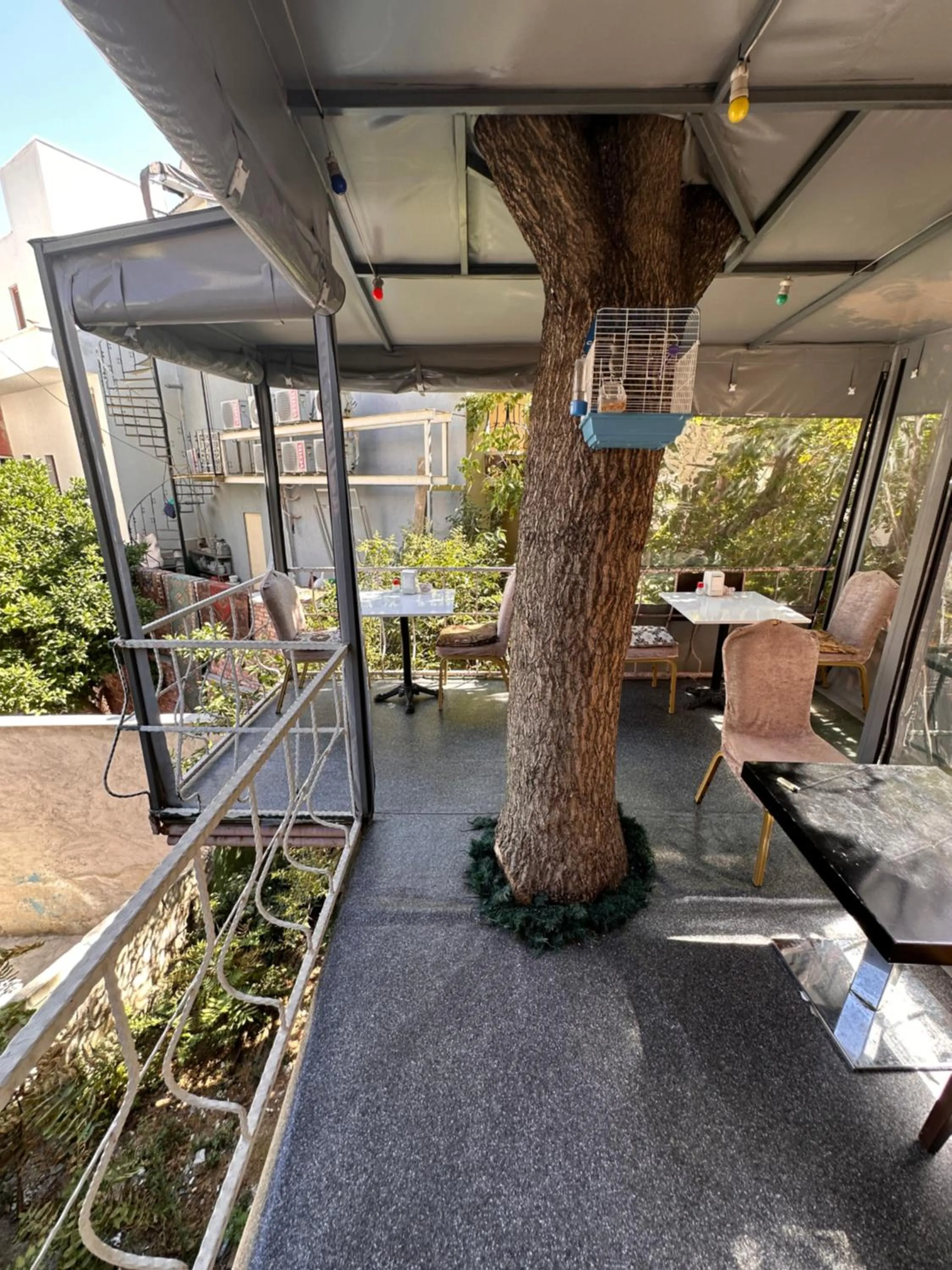 Garden in Hotel Antique