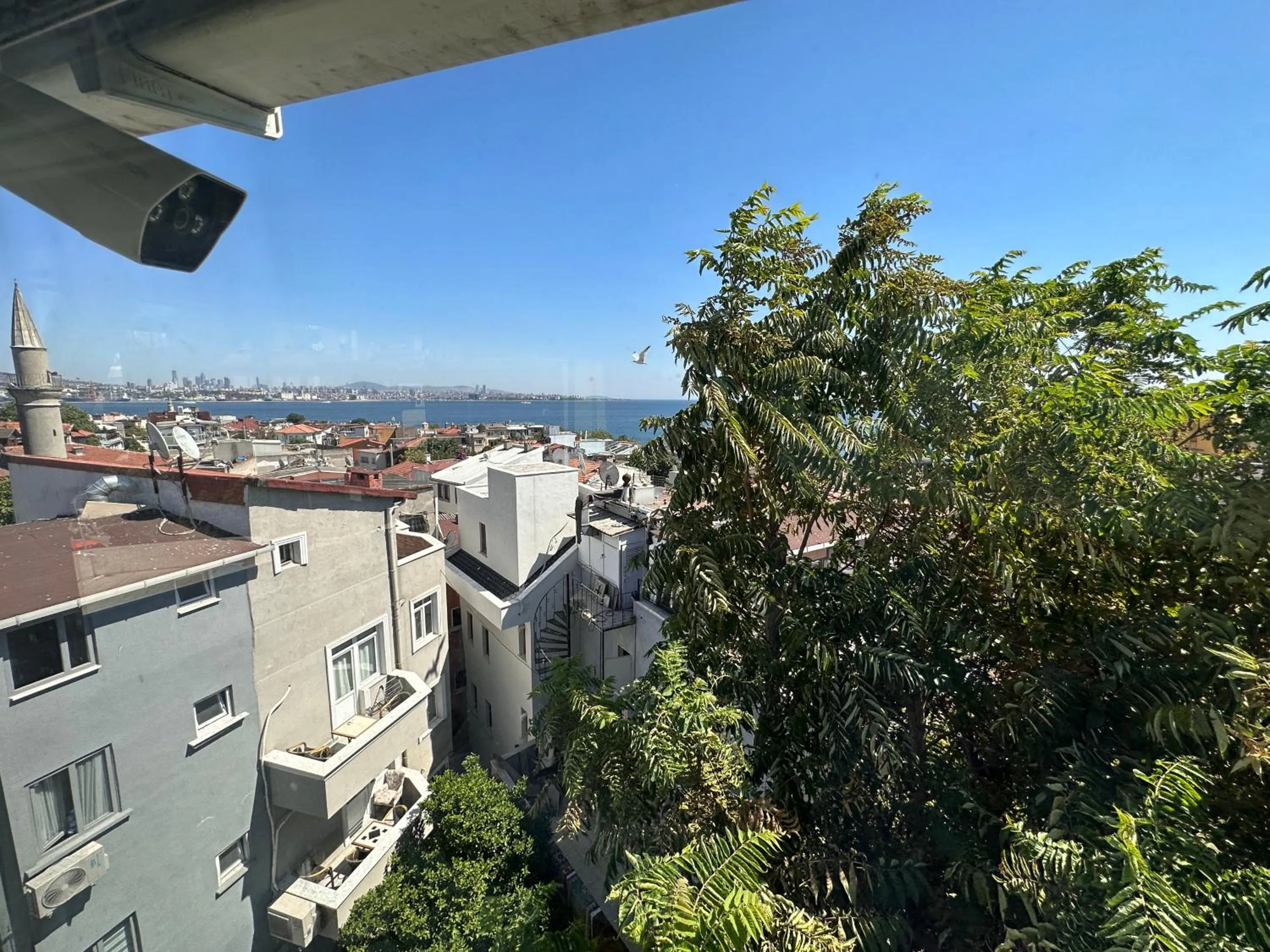 View (from property/room) in Hotel Antique