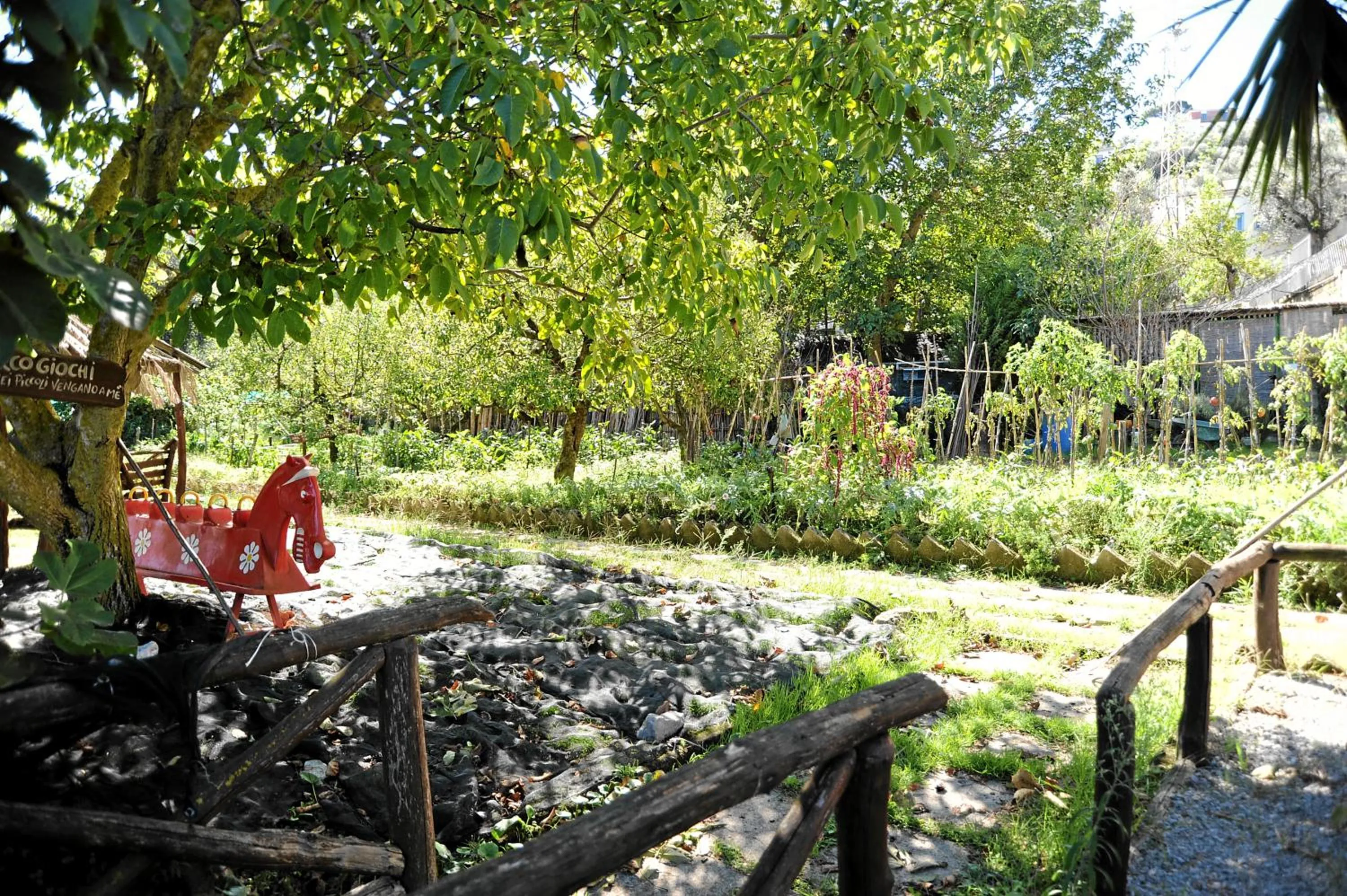 Garden in Oasi Madre della Pace