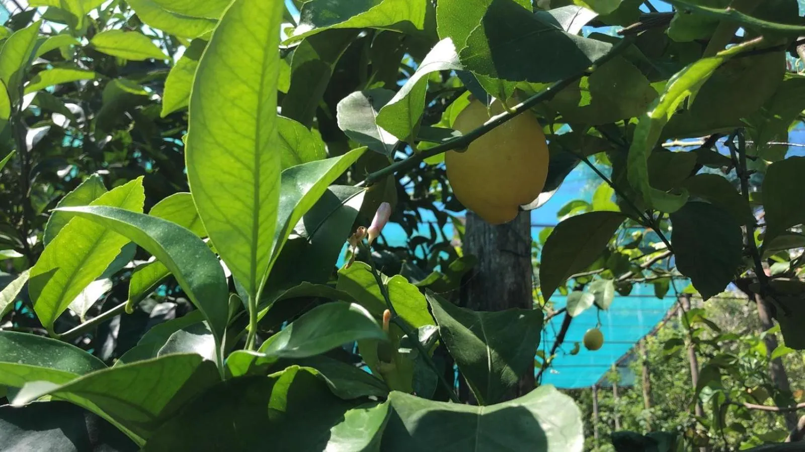 Oasi Madre della Pace