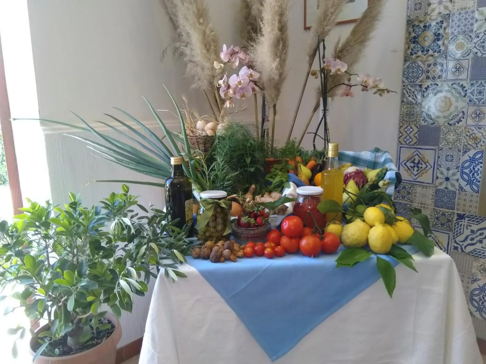 Oasi Madre della Pace