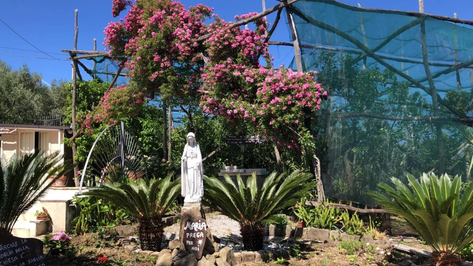 Garden in Oasi Madre della Pace