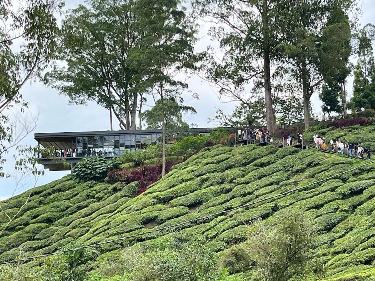 Nova Mountain n Sunrise view Hilltop Hotel Apartment in Cameron Highlands
