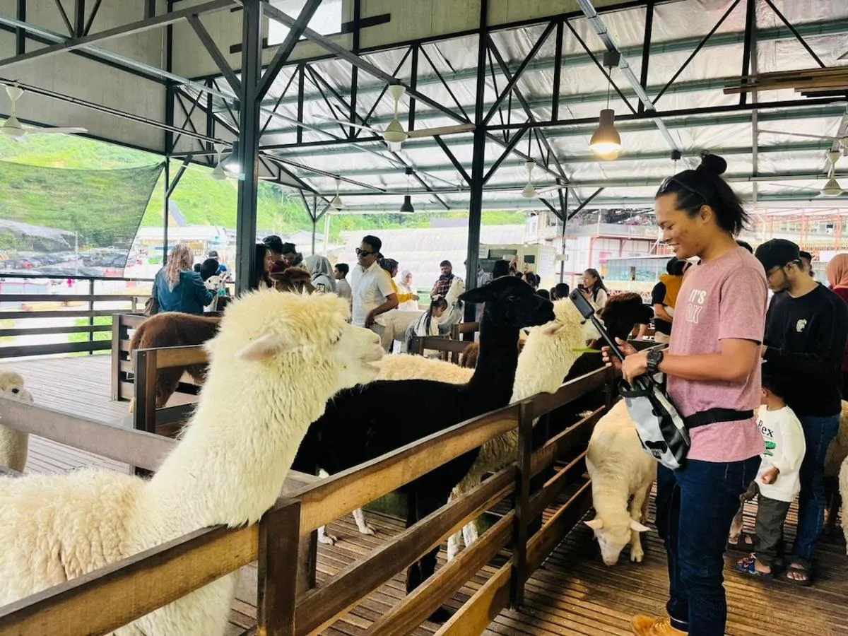 Nova Mountain n Sunrise view Hilltop Hotel Apartment in Cameron Highlands