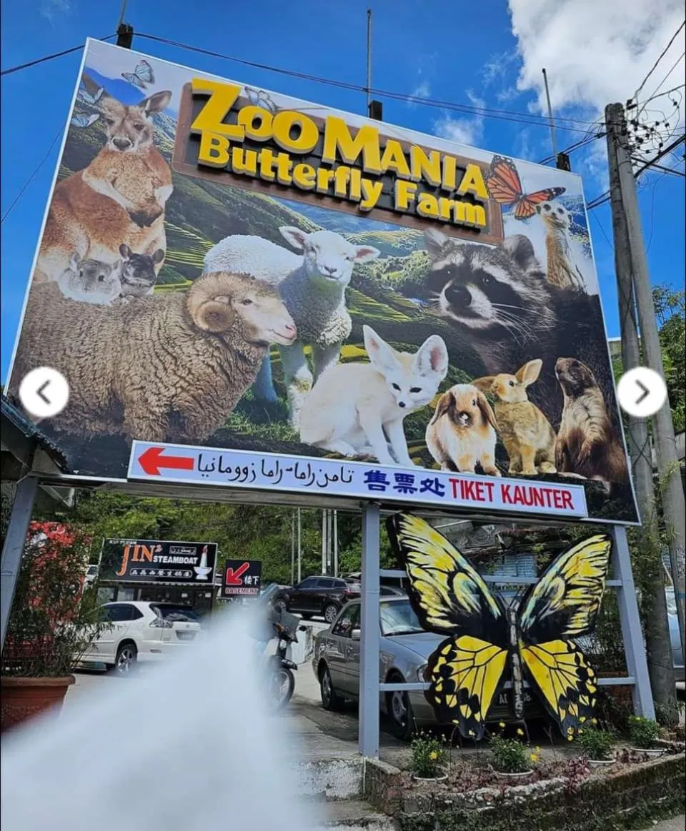 Nova Mountain n Sunrise view Hilltop Hotel Apartment in Cameron Highlands