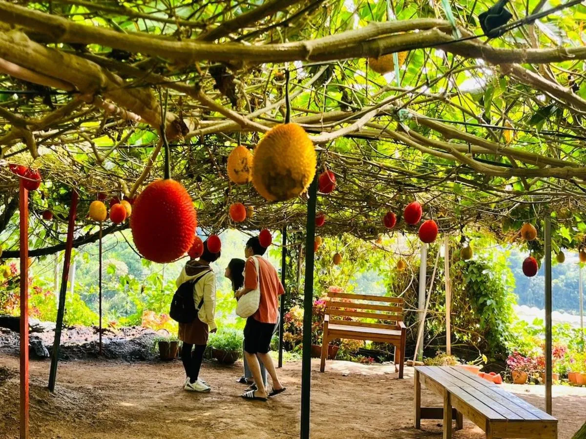 Nova Mountain n Sunrise view Hilltop Hotel Apartment in Cameron Highlands