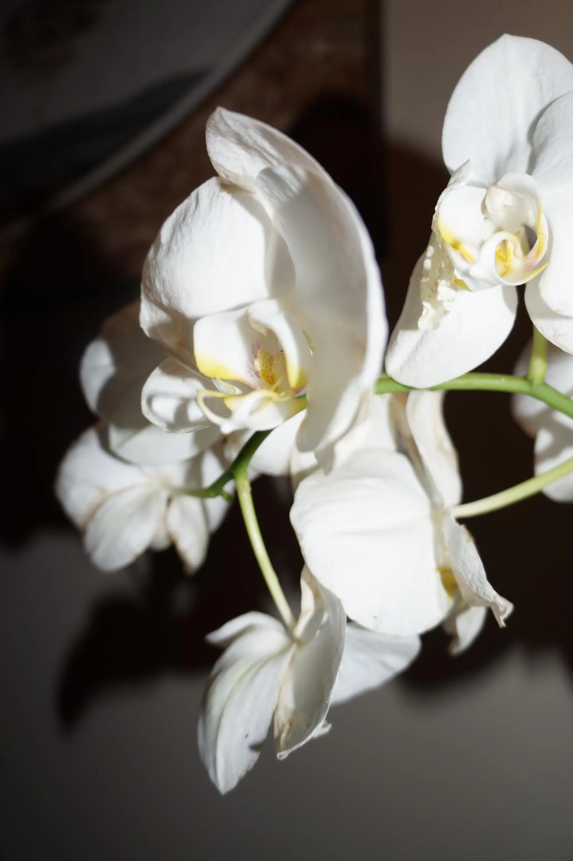 Other in Domus San Martino GuestHouse