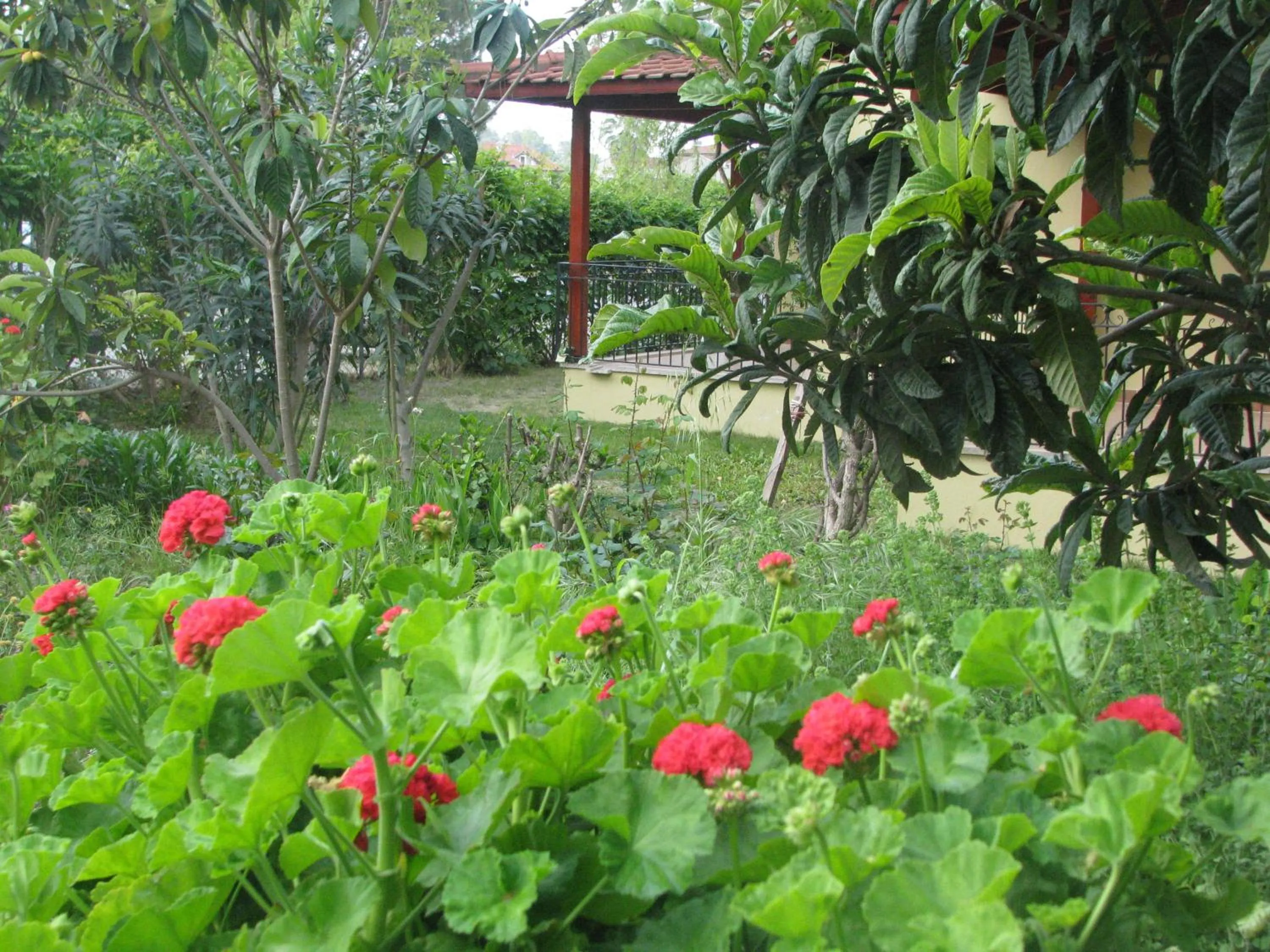 Spring in Alize Hotel