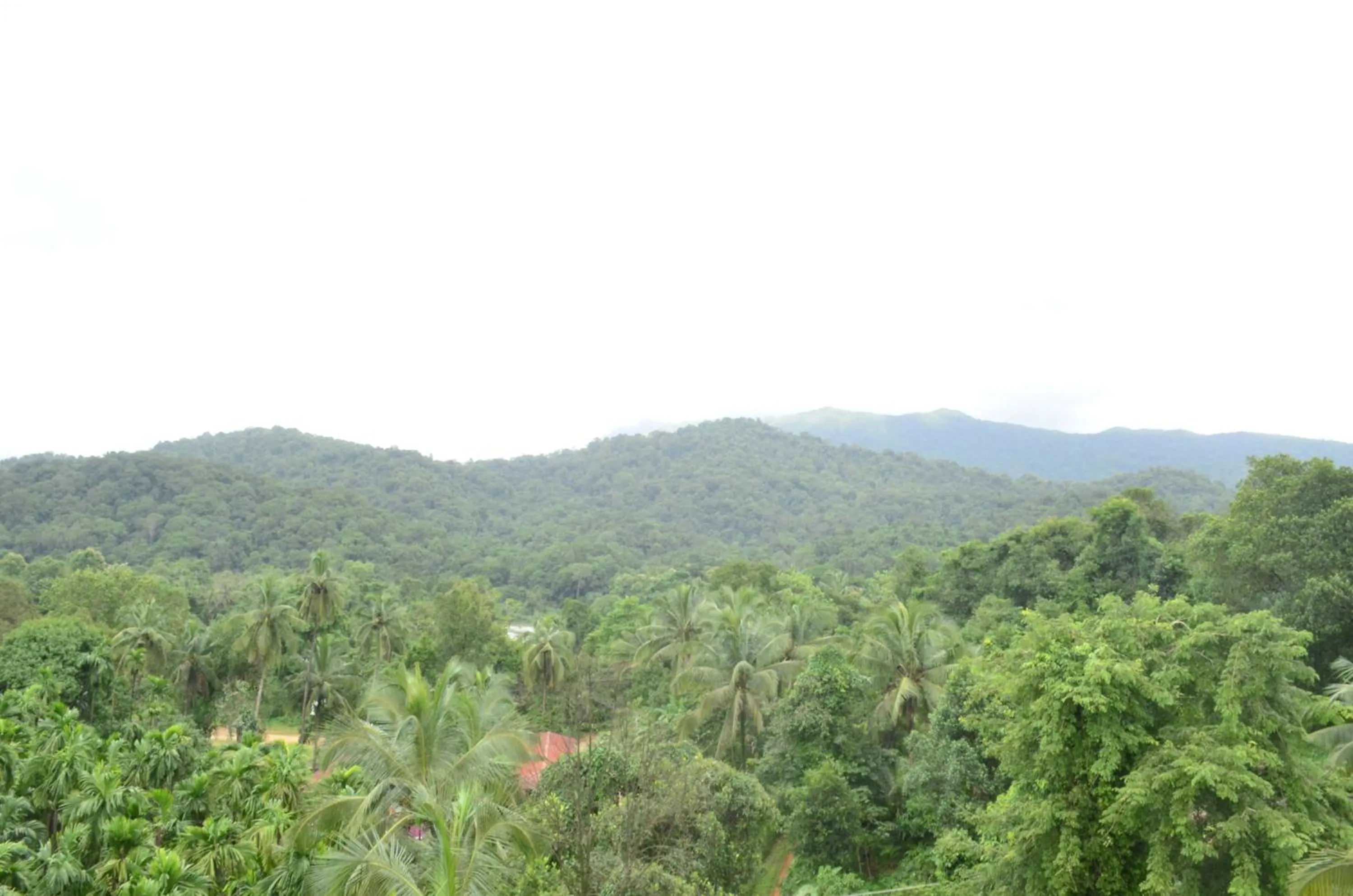 Mountain view in The Aurum Subrahmanya