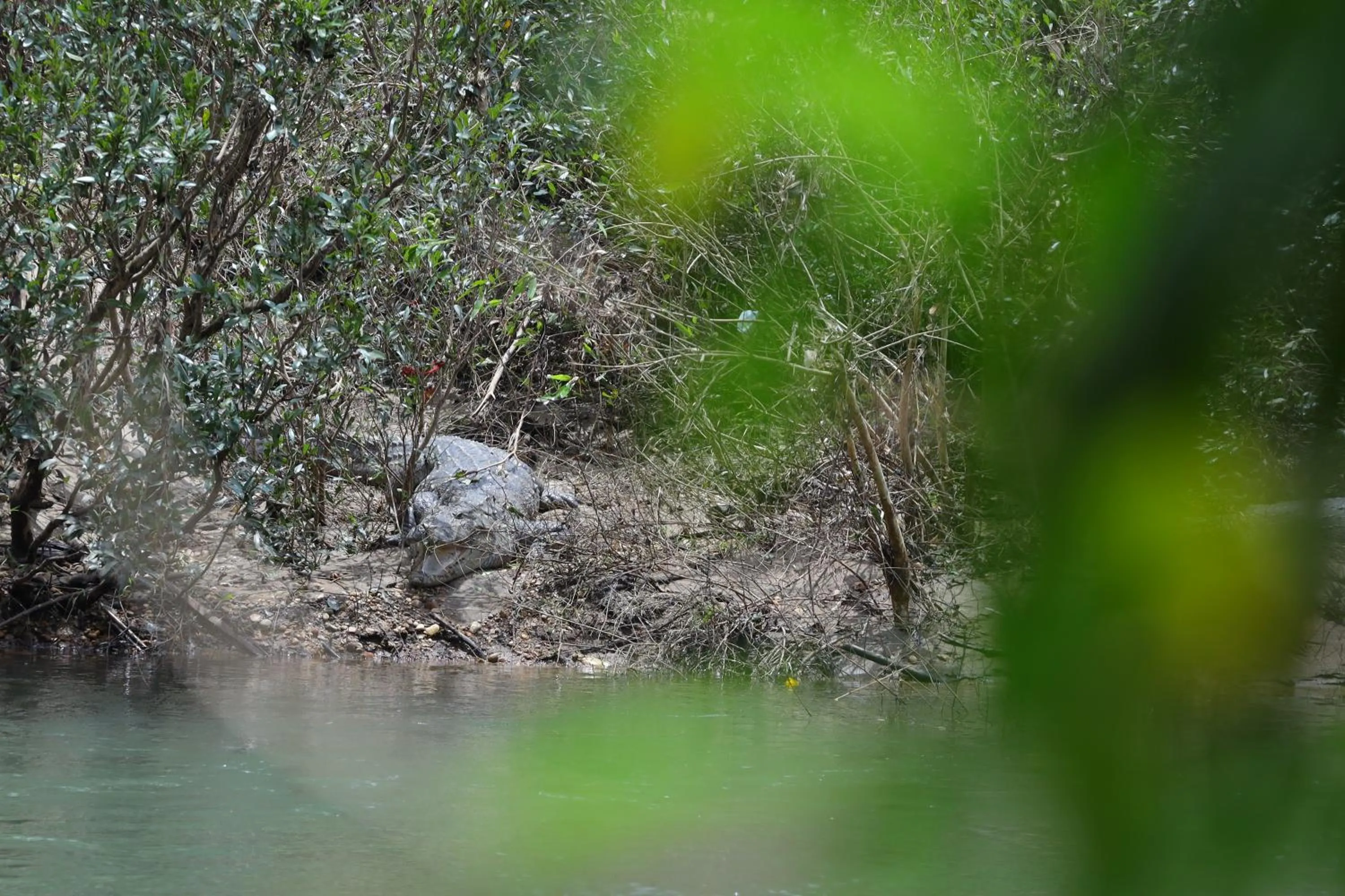 View (from property/room) in The Aurum Subrahmanya