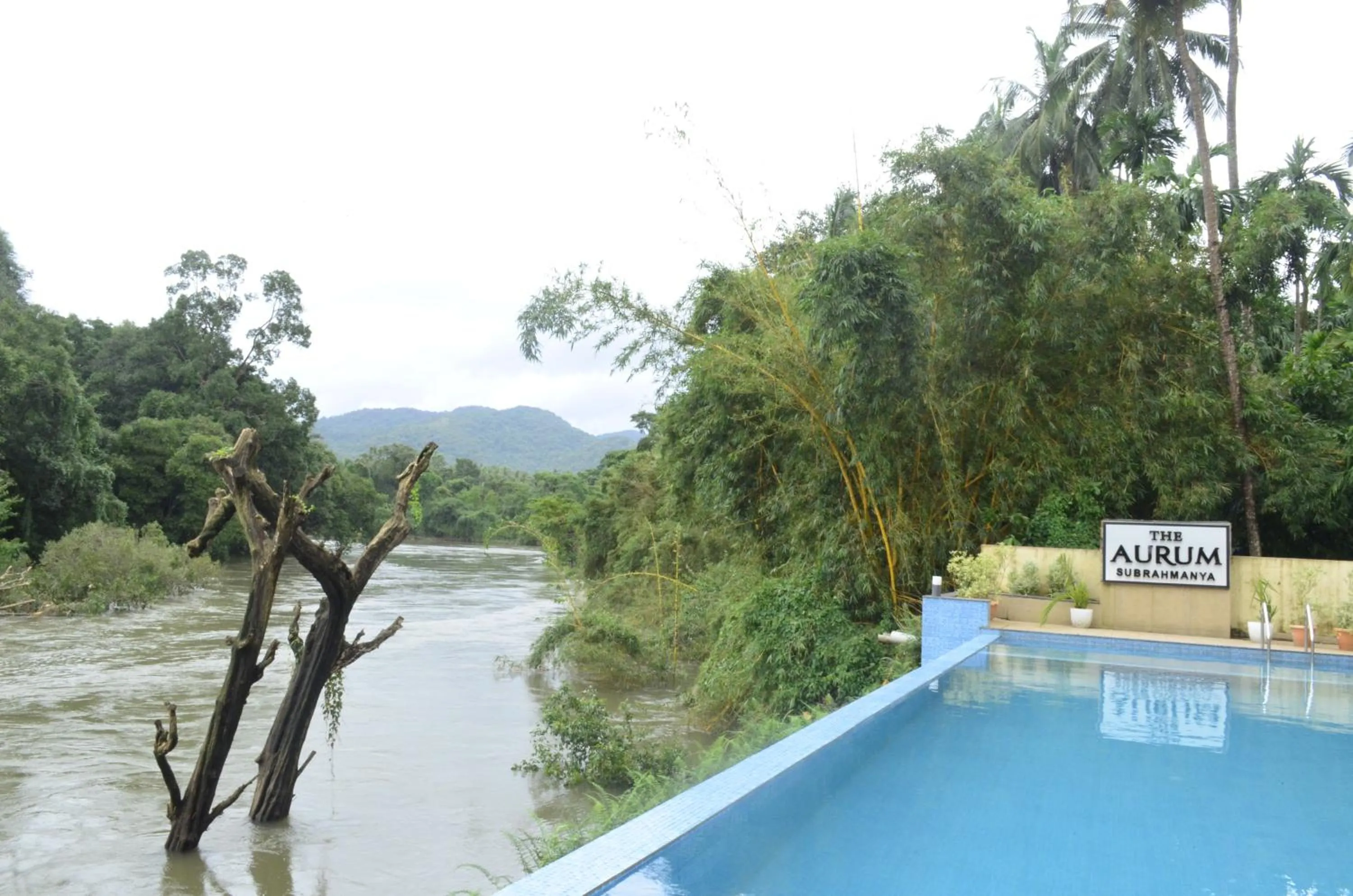 Swimming pool in The Aurum Subrahmanya