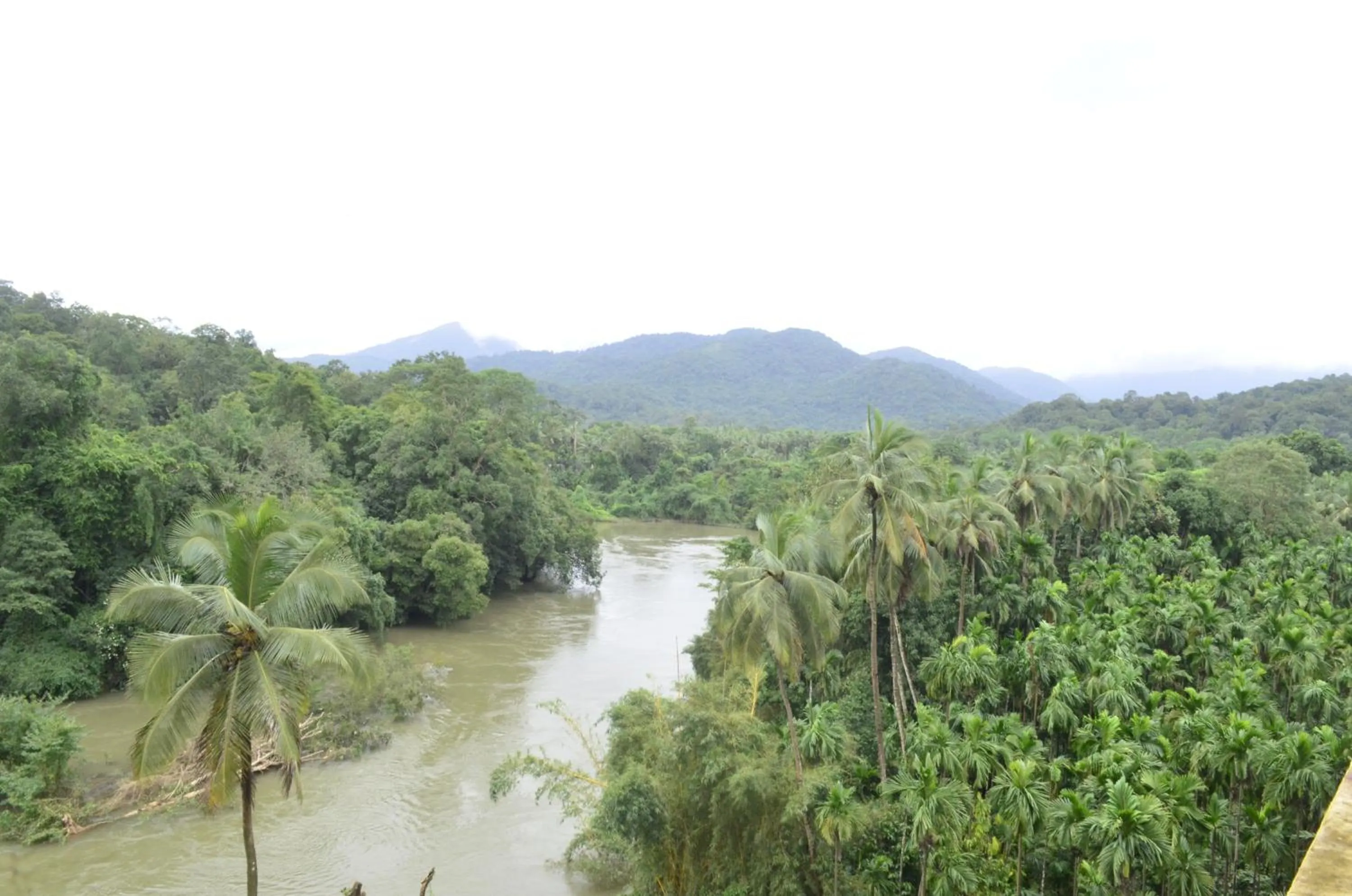 Mountain view in The Aurum Subrahmanya