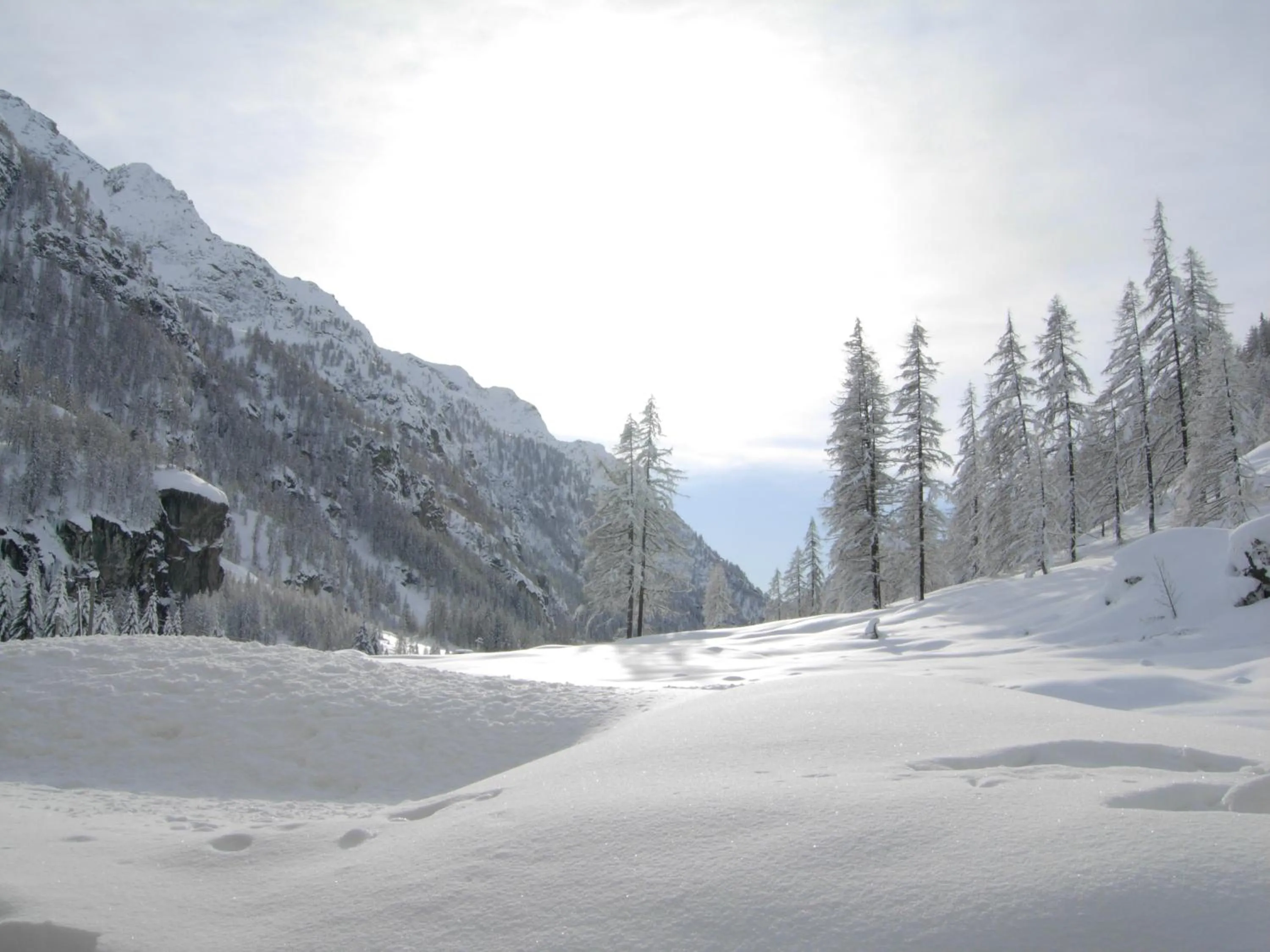 View (from property/room) in Residence Oberteil