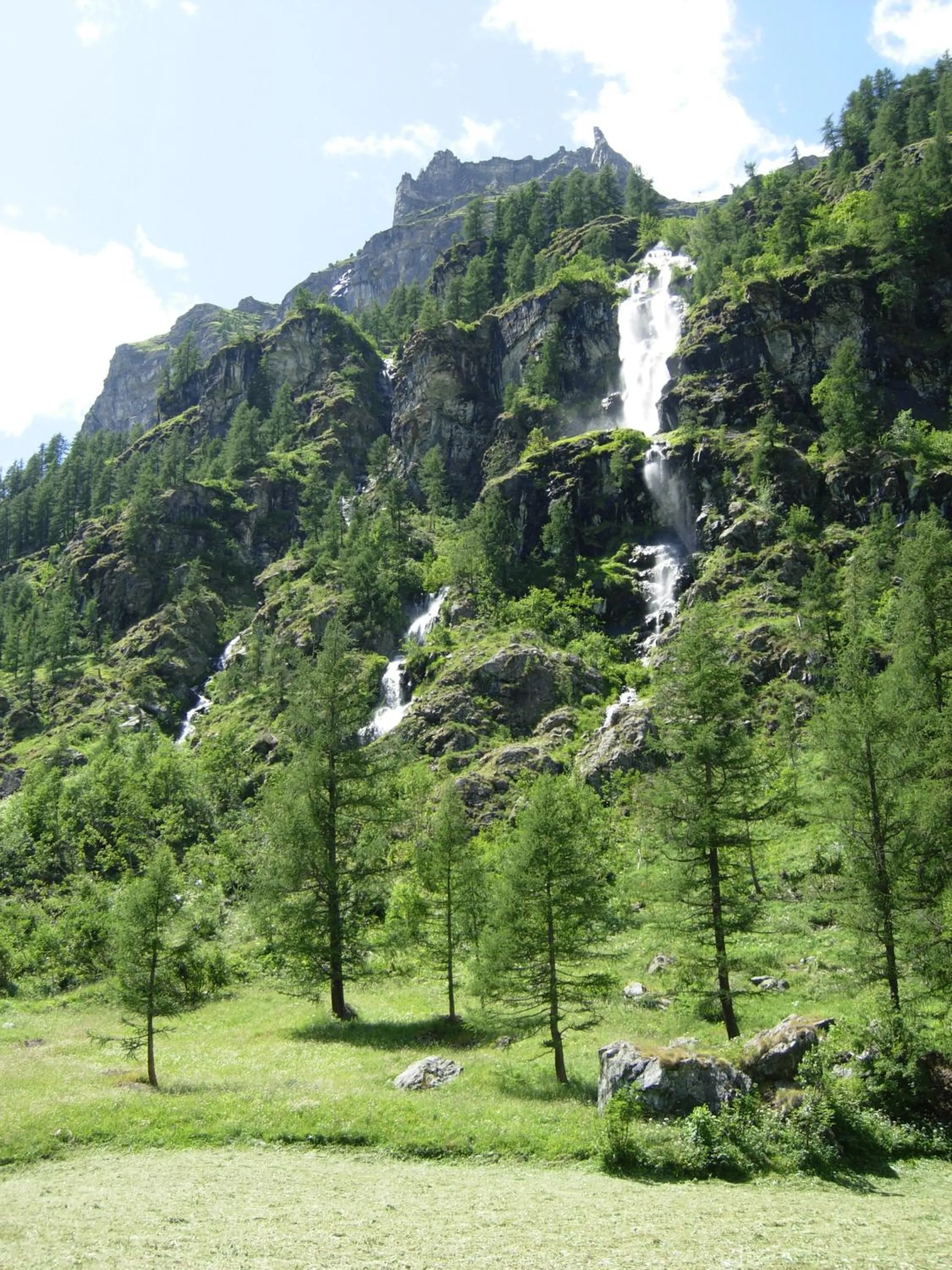 View (from property/room) in Residence Oberteil