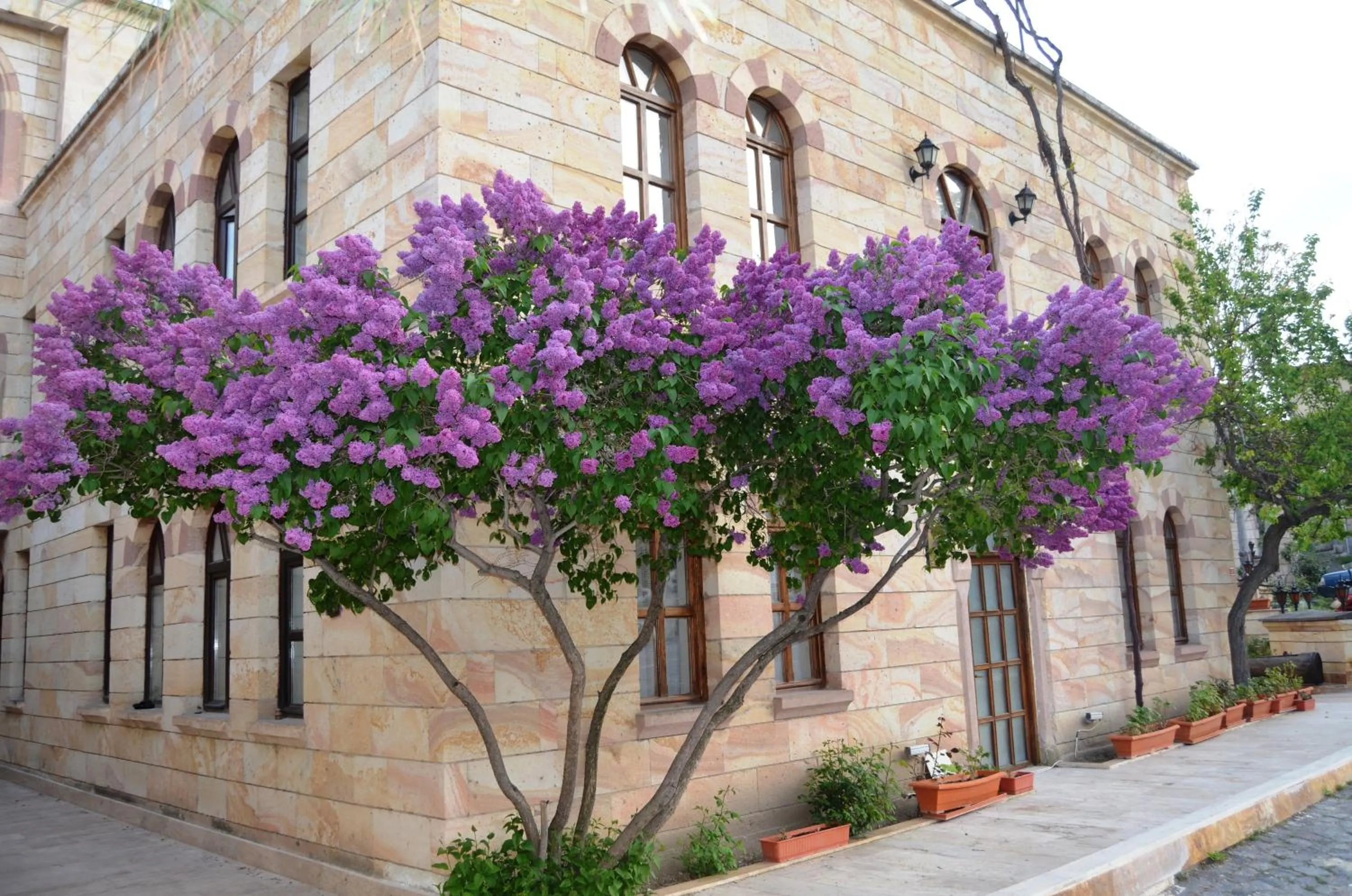 Spring in Akuzun Stone Hotel