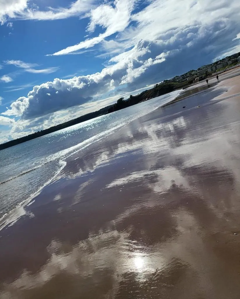 Beach in Beach Hotel Torbay B&B