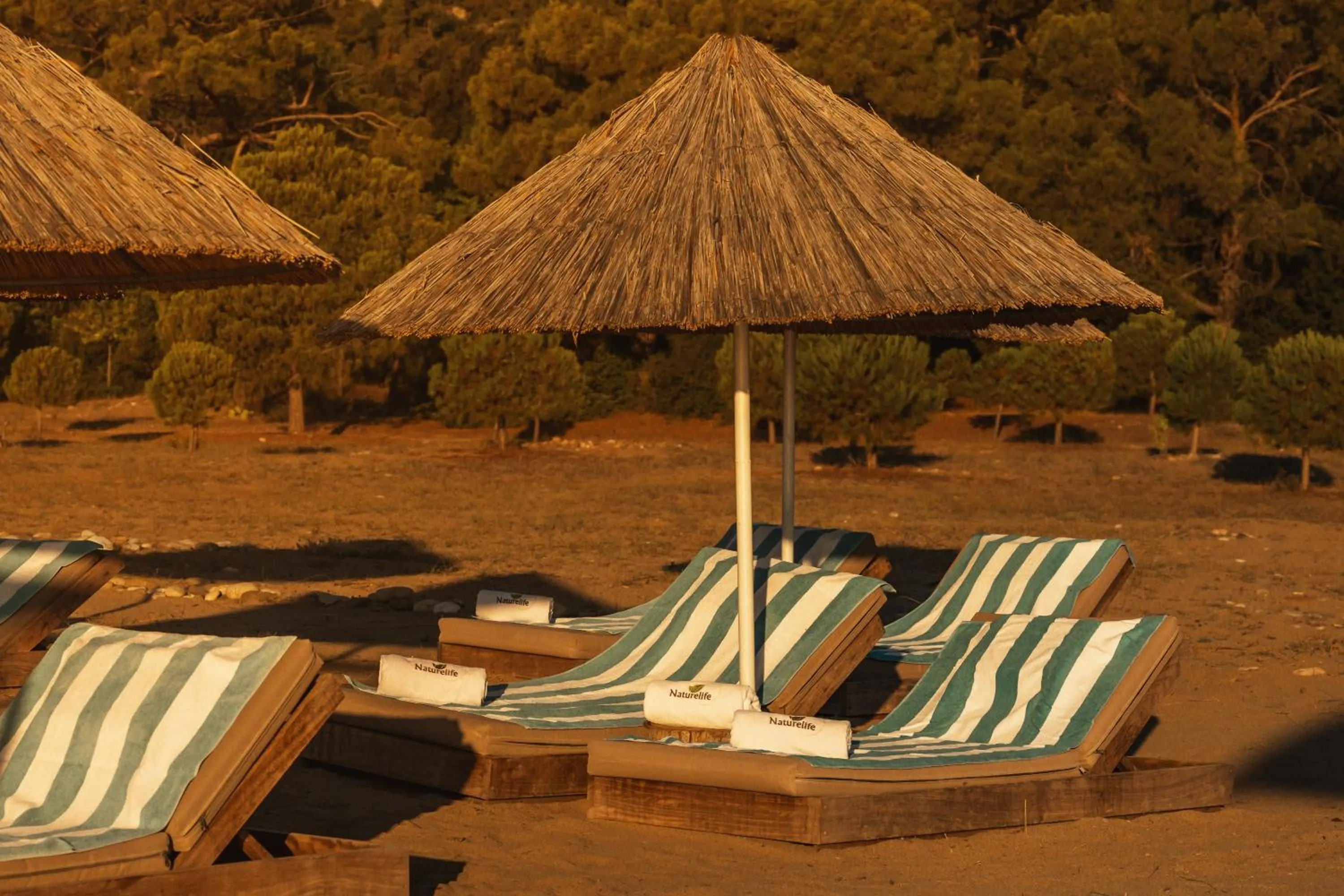 Naturelife Bungalows & SPA