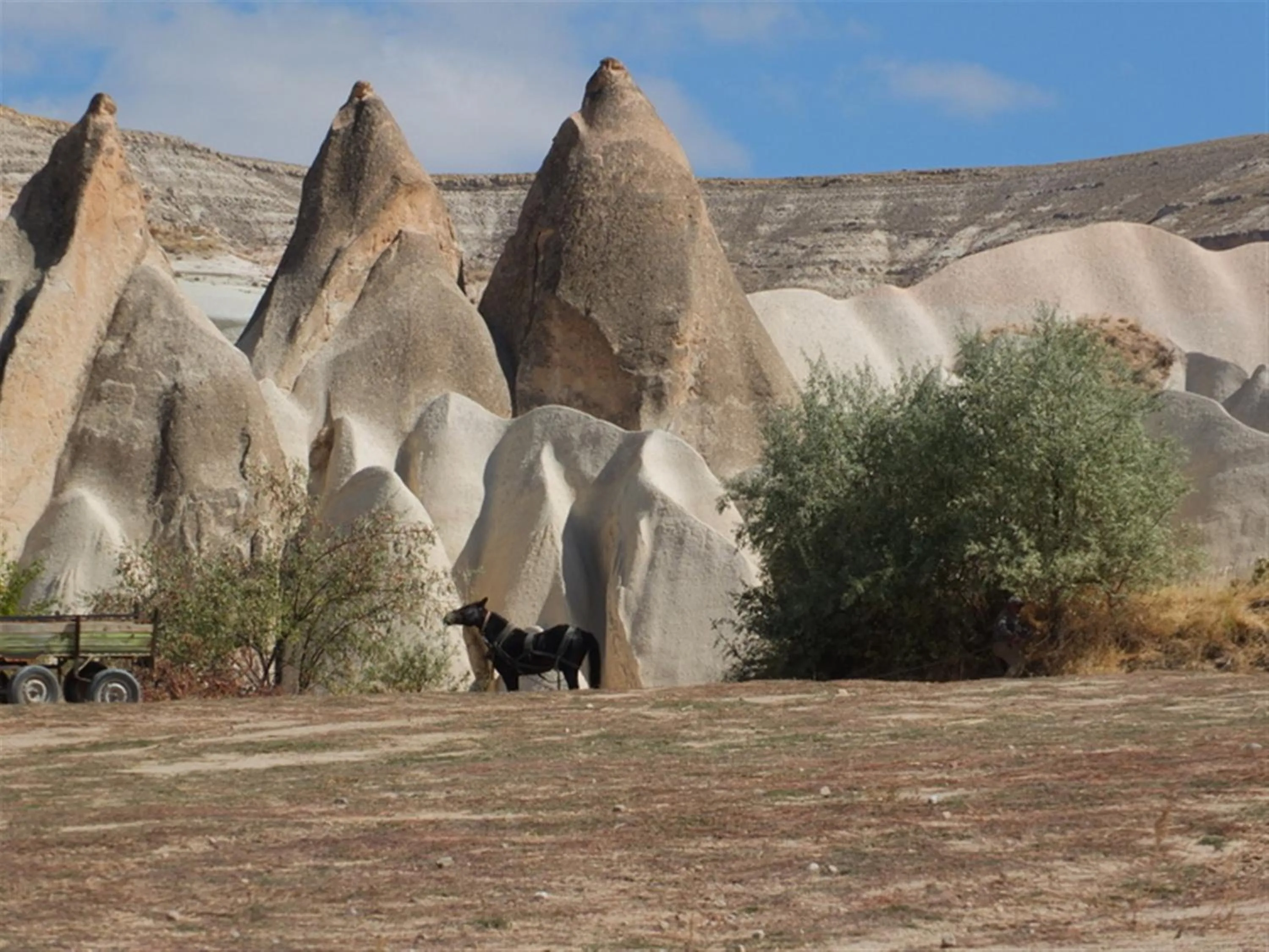 Horse-riding in Anatolia cave hotel Pension