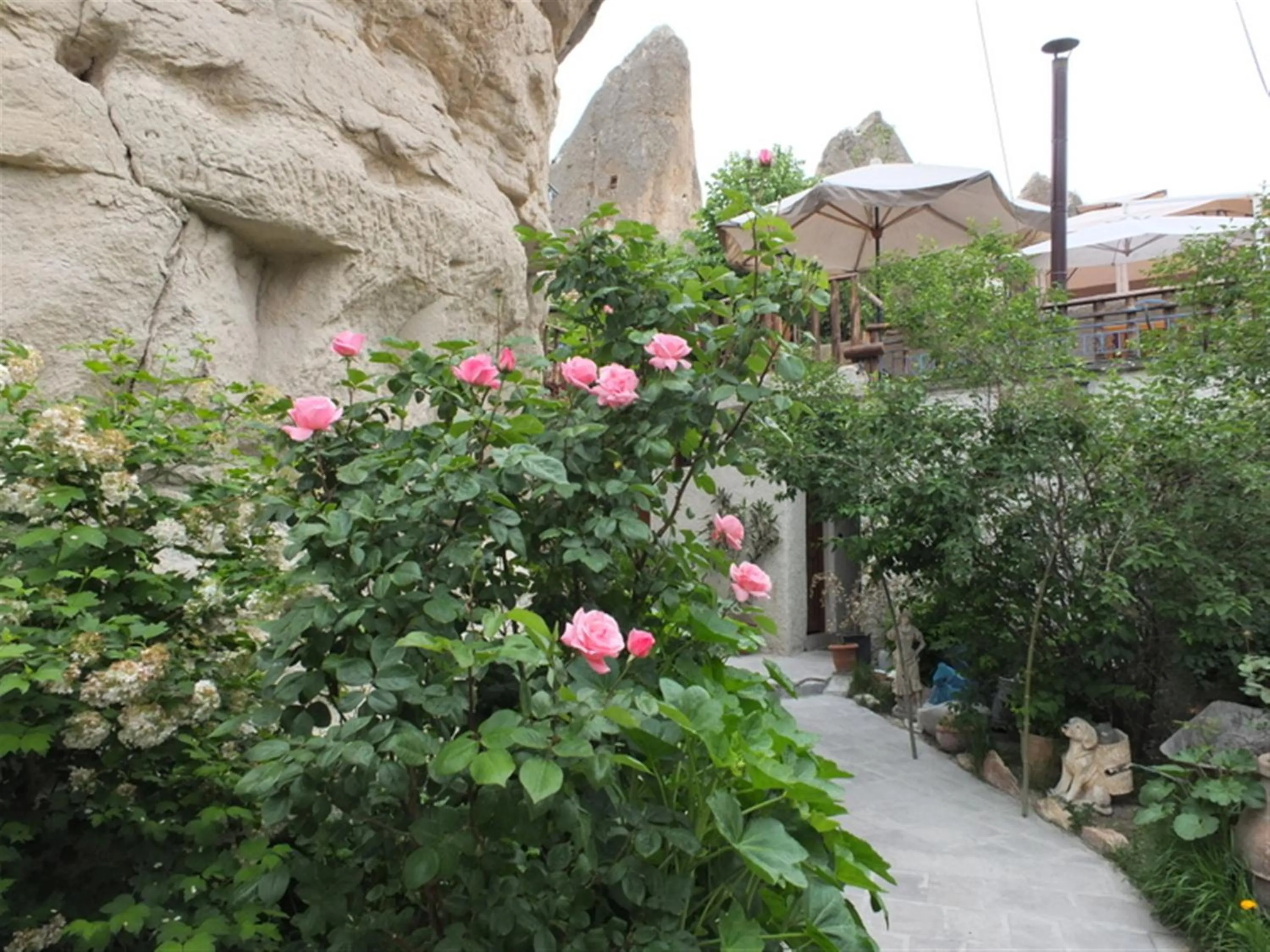 Garden in Anatolia cave hotel Pension