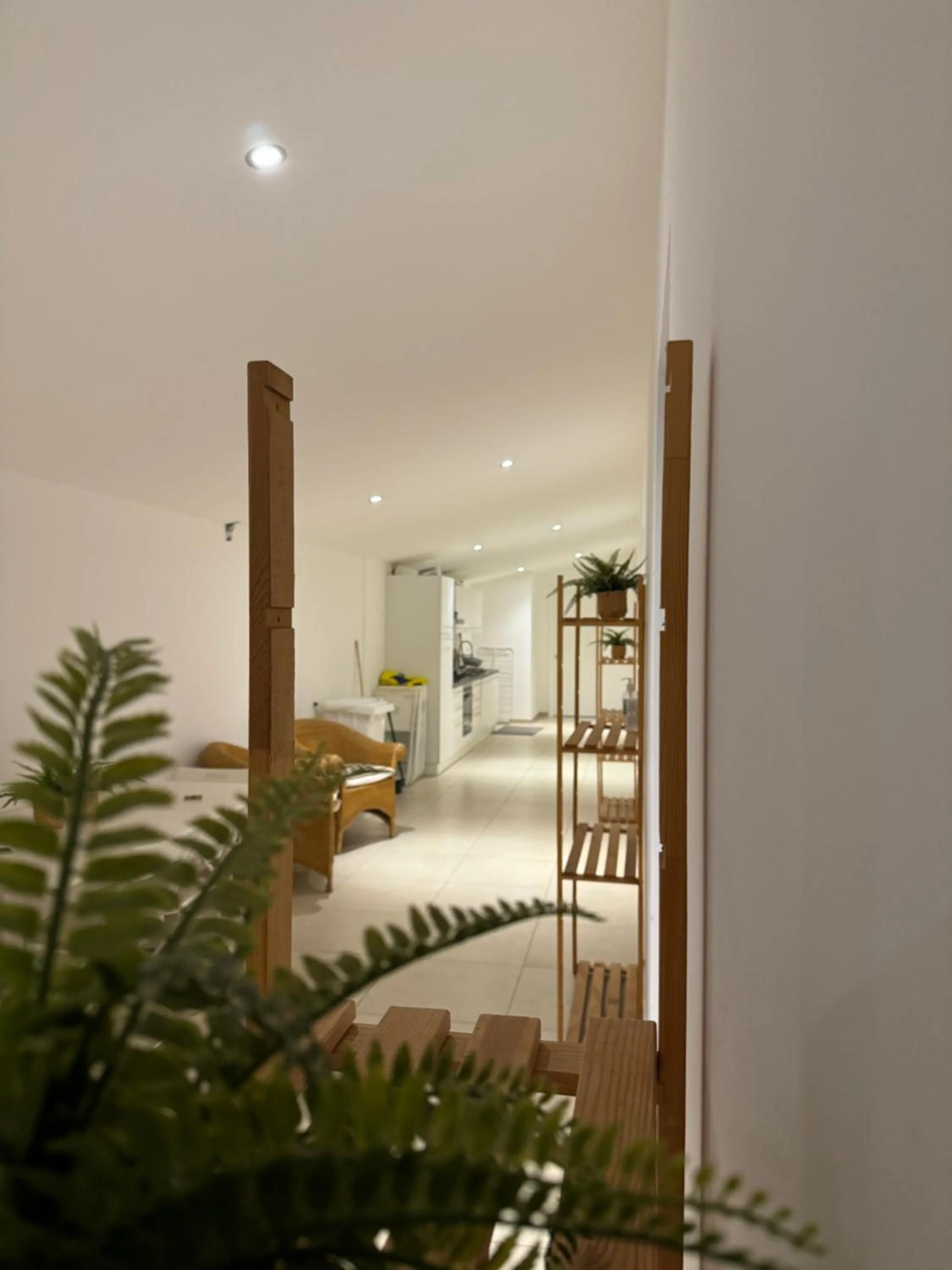 Property building in Bellavista