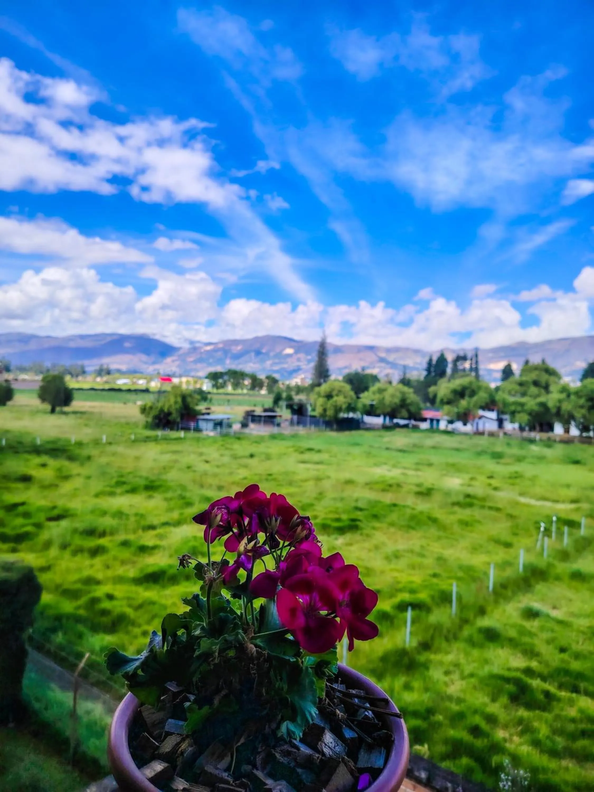 Garden view in Hotel Tartar