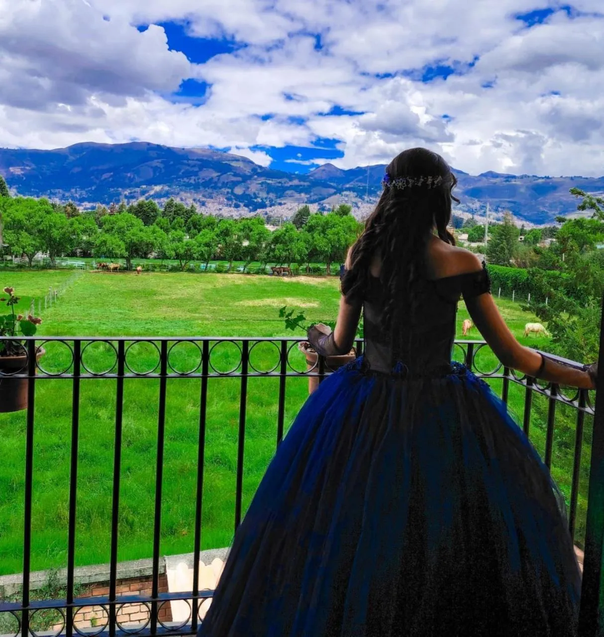 View (from property/room) in Hotel Tartar