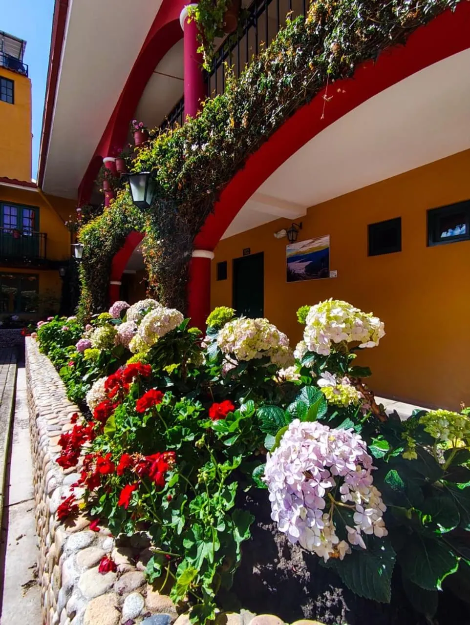 Garden in Hotel Tartar