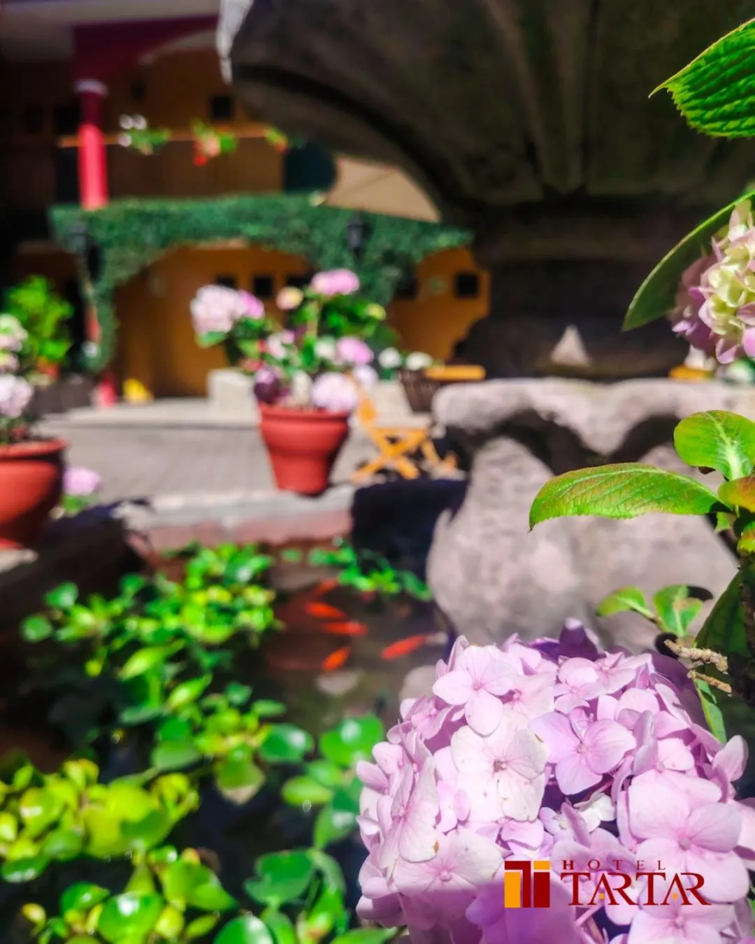 Balcony/Terrace in Hotel Tartar