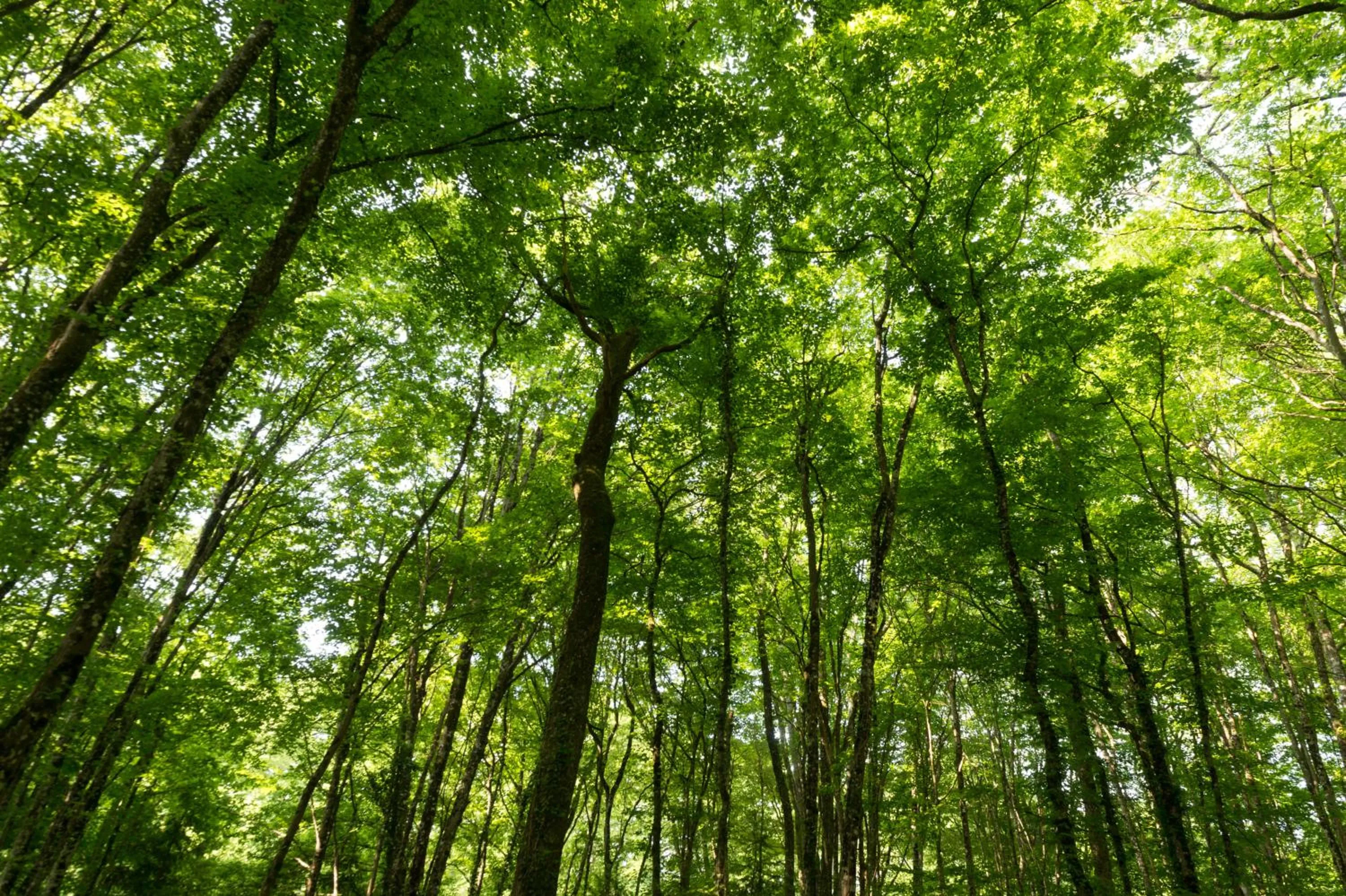 Natural landscape in Sure Hotel by Best Western Tours Sud