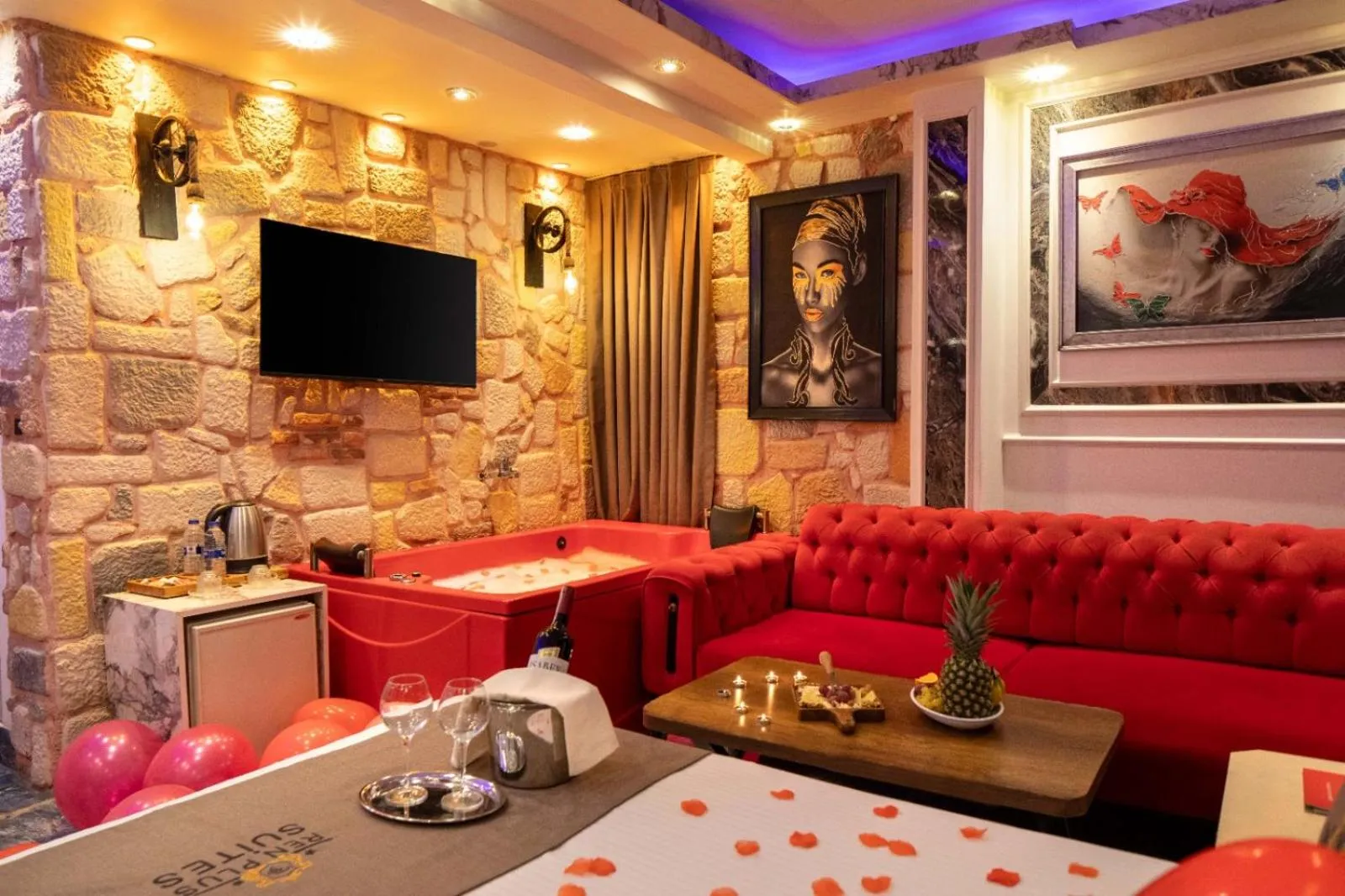 TV and multimedia in REN PLUS SUITES