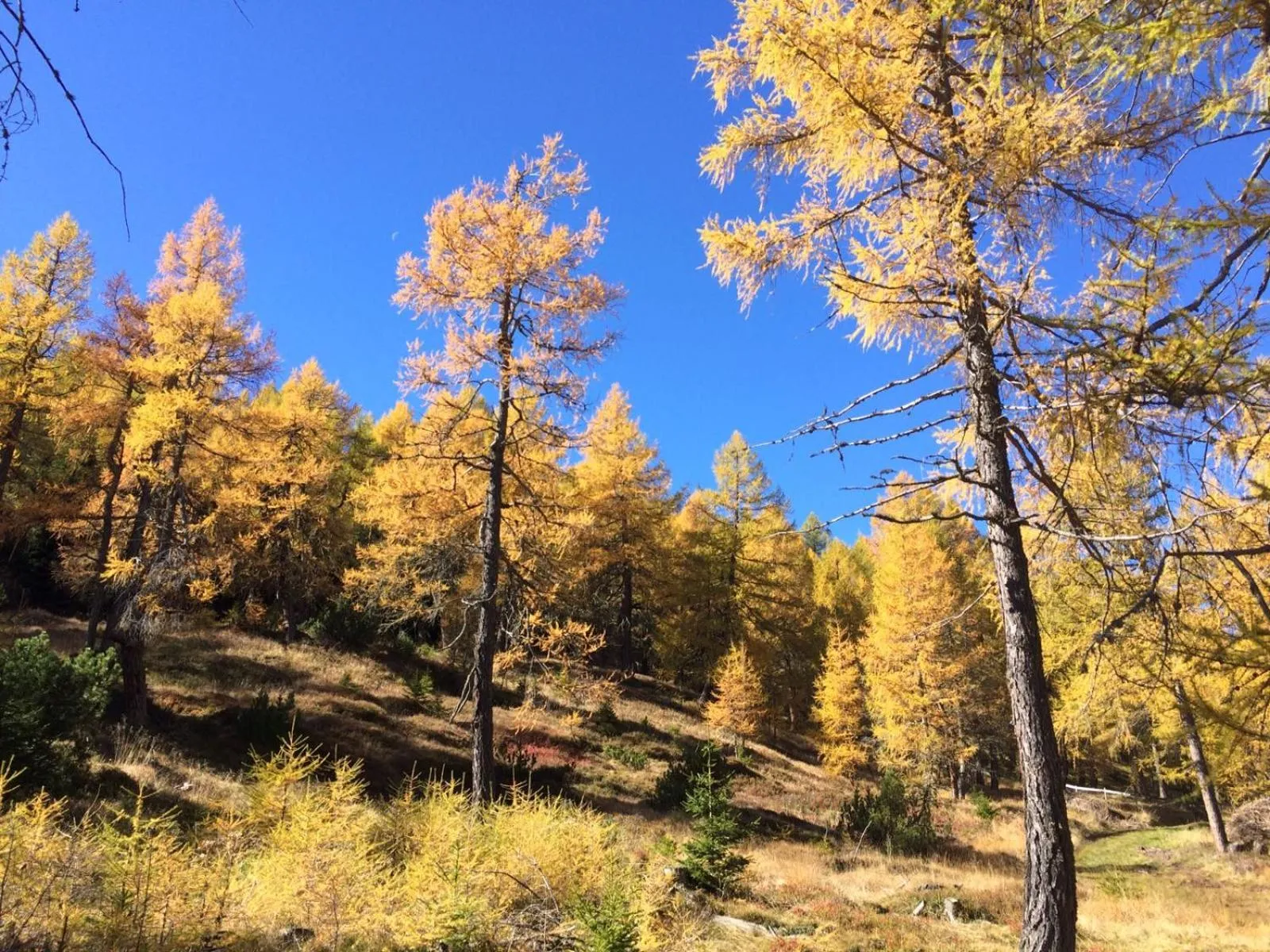 Hiking in Haus Ferchl