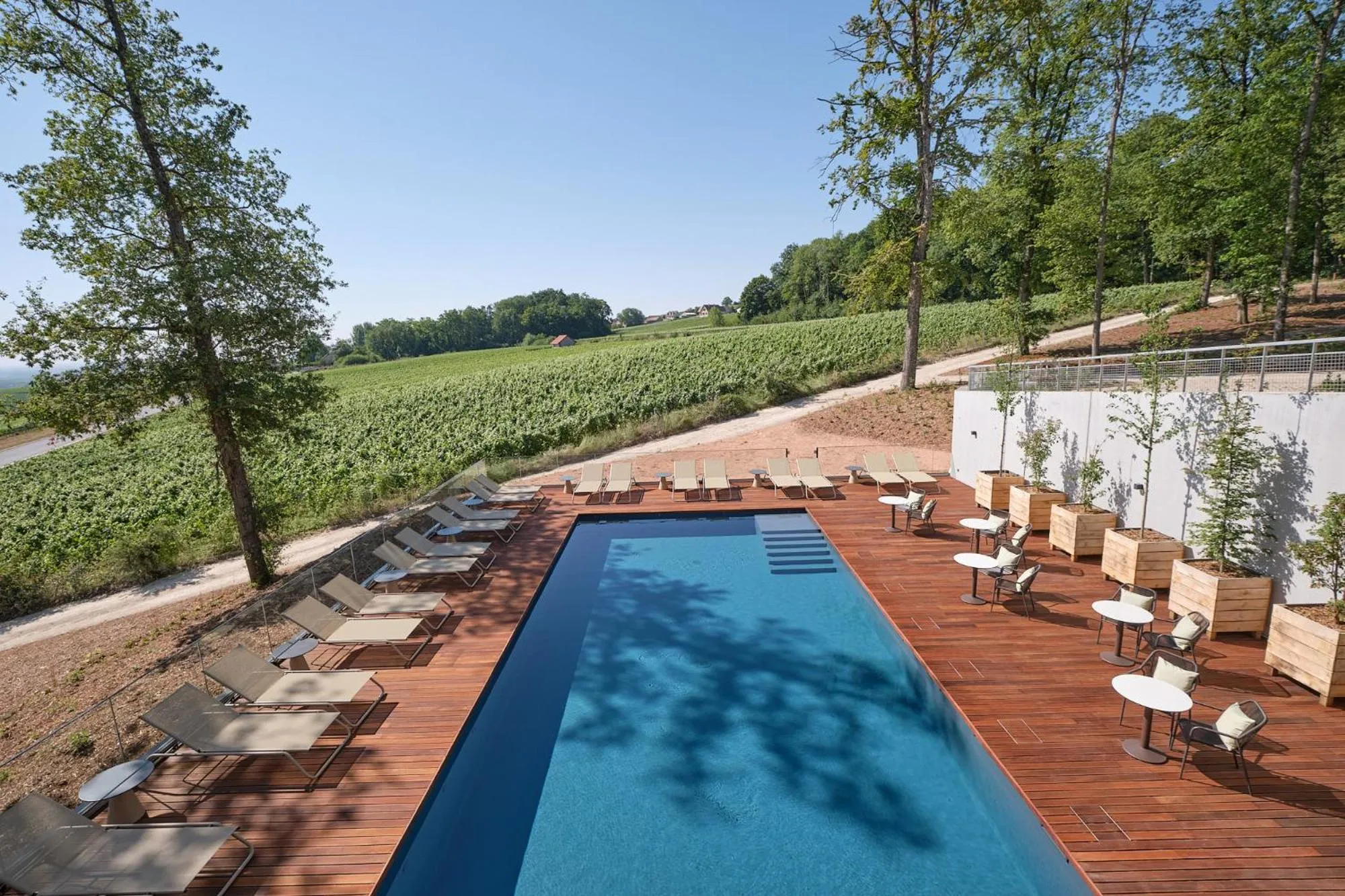 Swimming pool in LOISIUM Wine & Spa Hotel Champagne