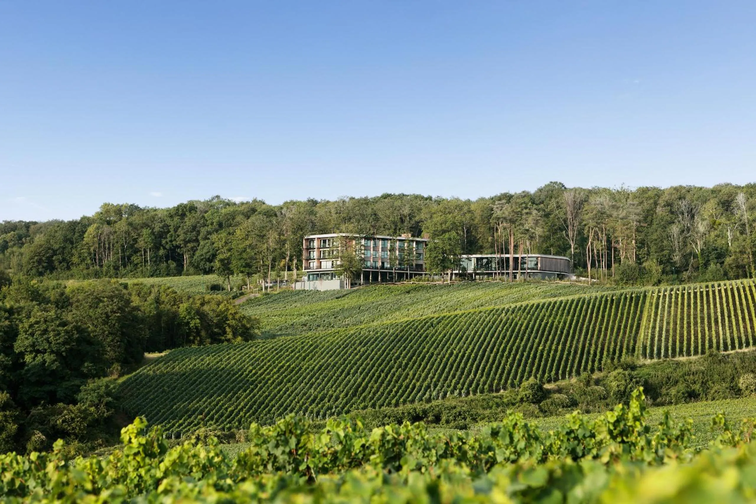 Natural landscape in LOISIUM Wine & Spa Hotel Champagne