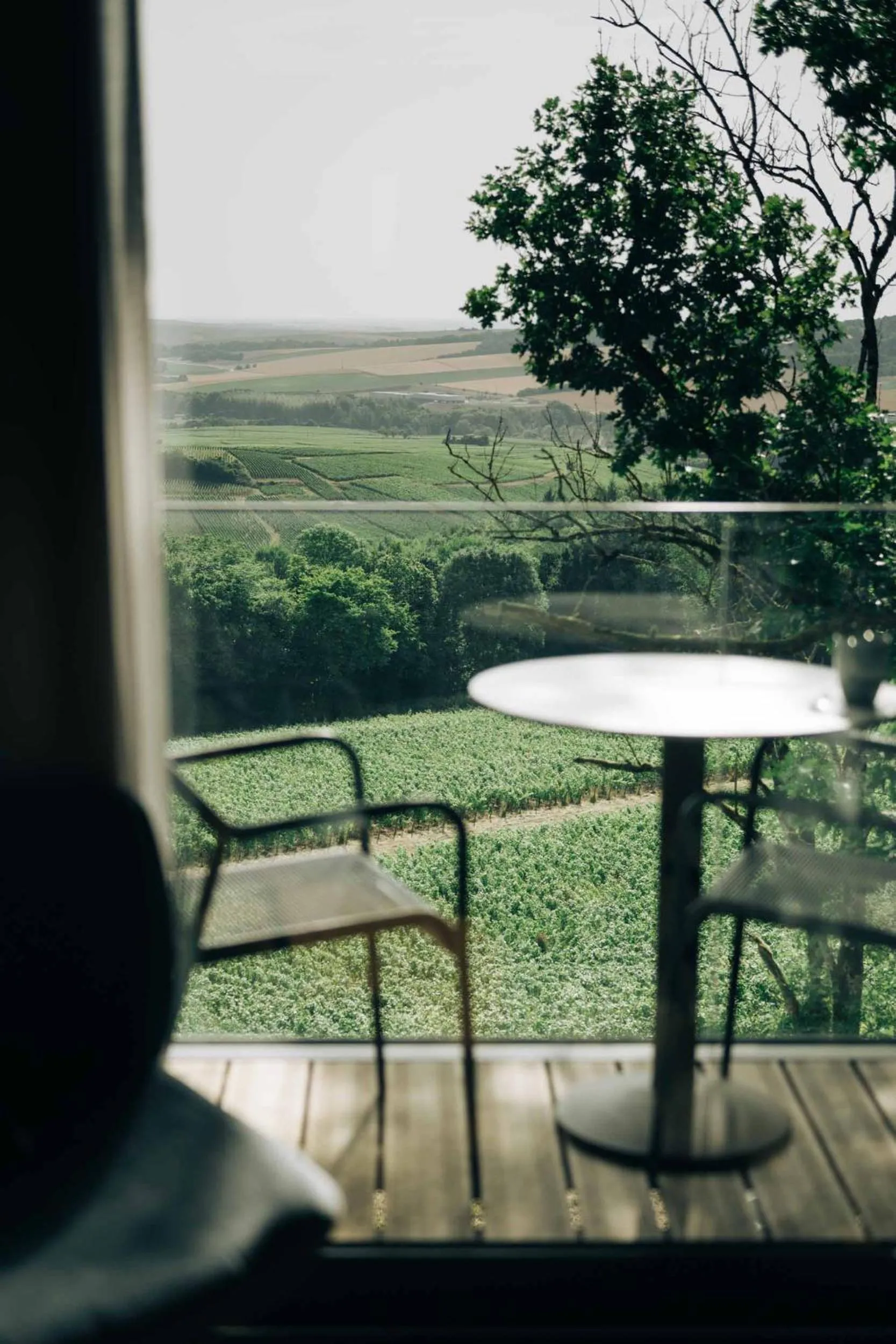 Landmark view in LOISIUM Wine & Spa Hotel Champagne