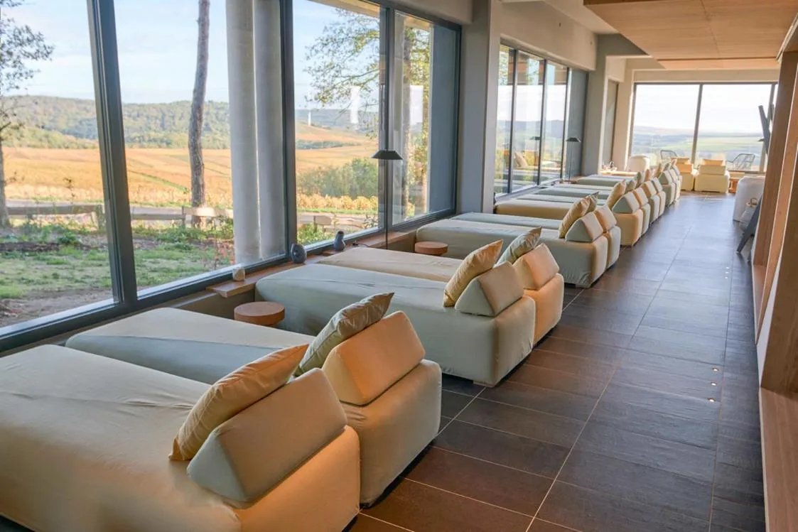 Spa and wellness centre/facilities in LOISIUM Wine & Spa Hotel Champagne