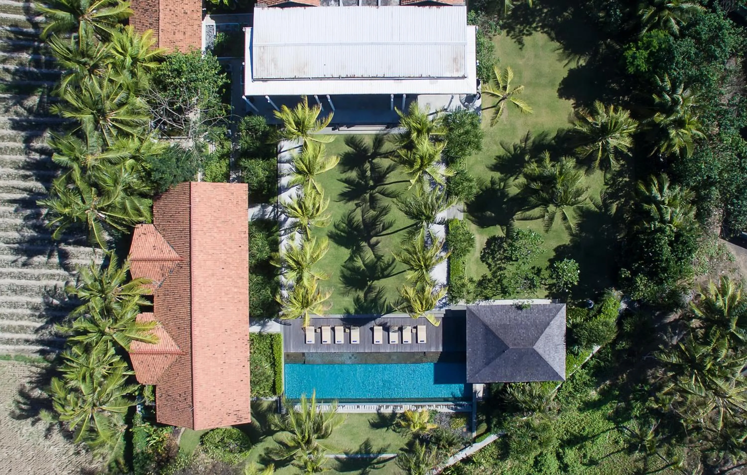 Bird's eye view in Jeeva Saba Bali