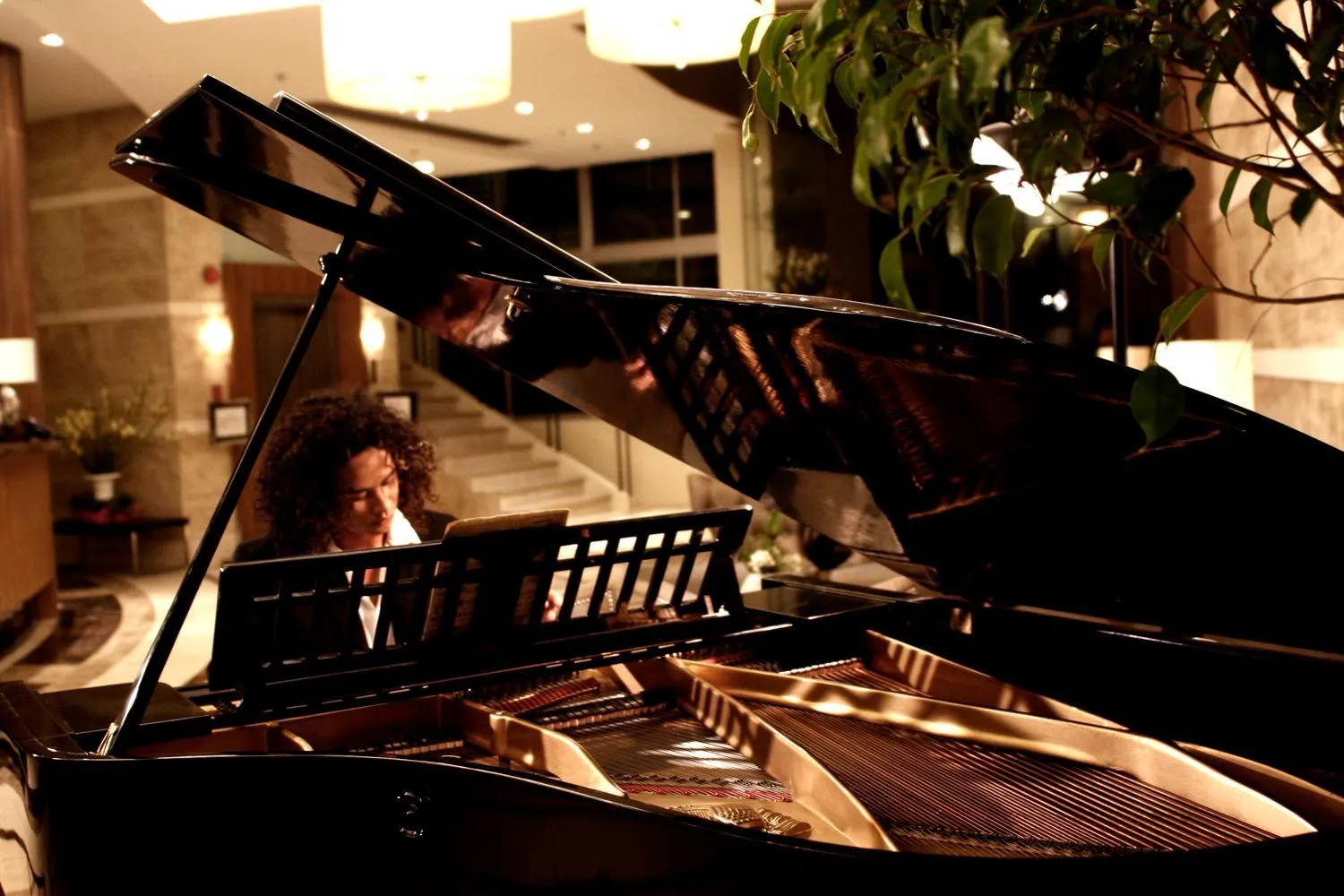 People in The Avenue Plaza Hotel