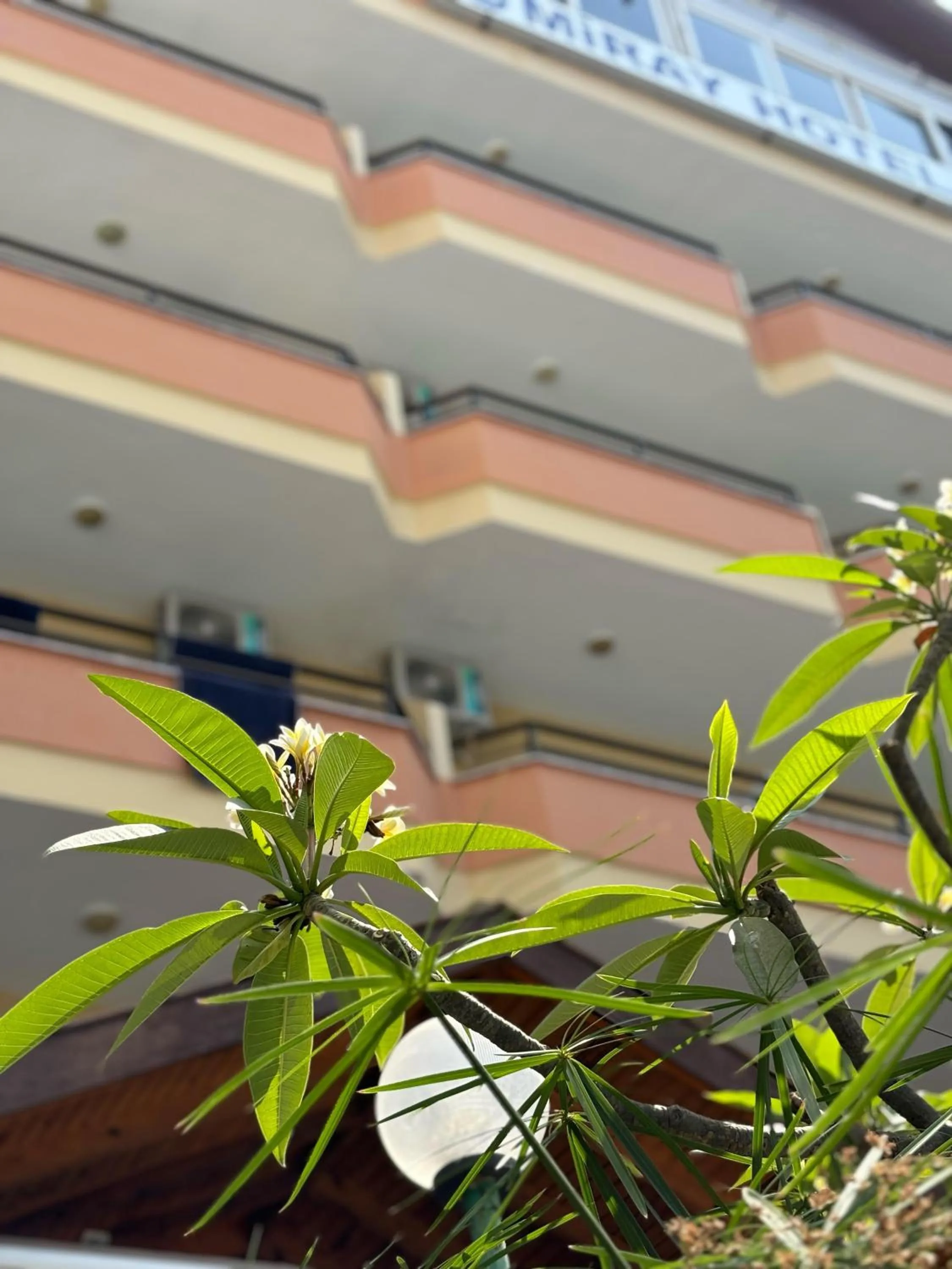 Property building in Miray Hotel Kleopatra