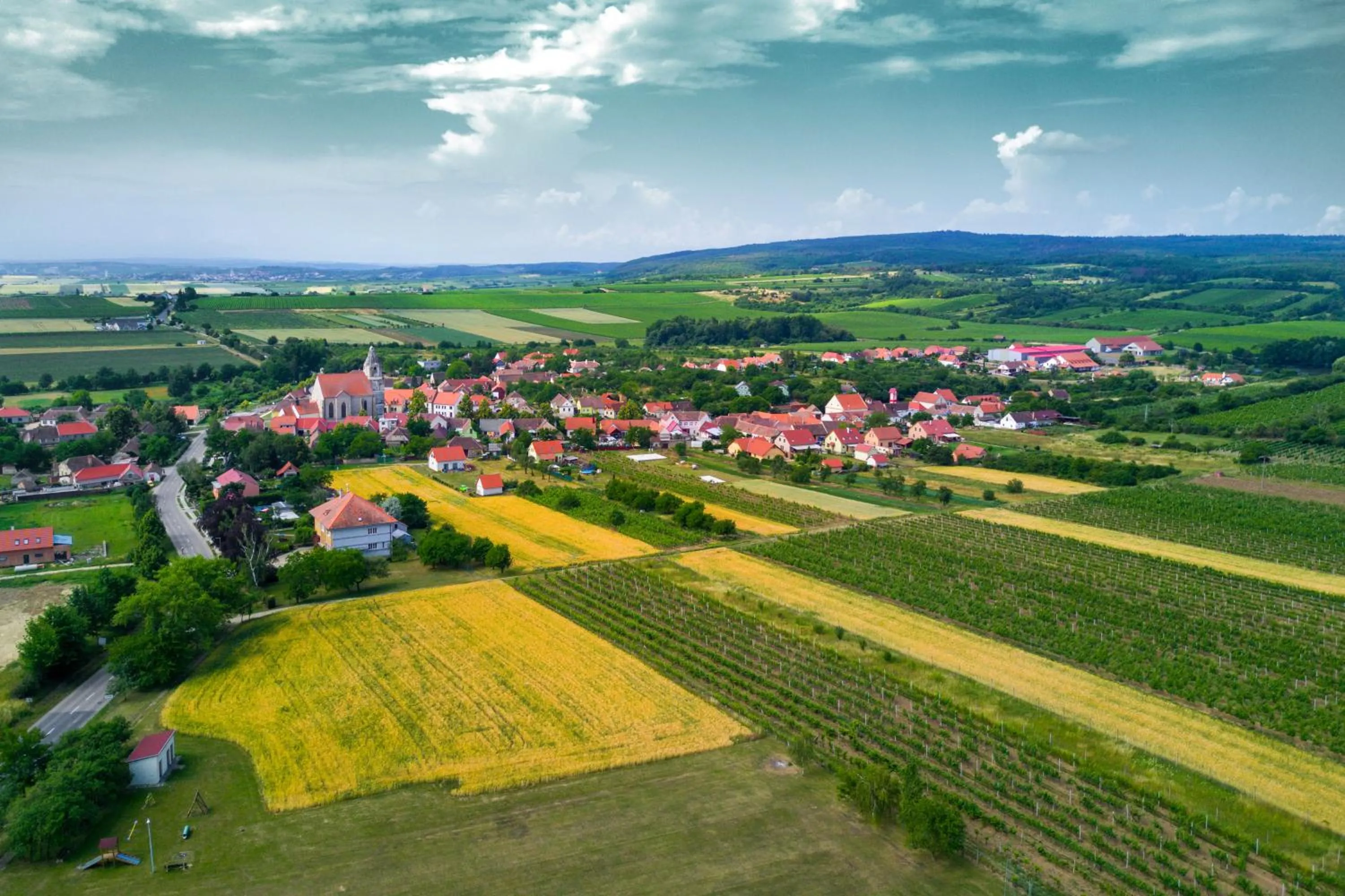 Hotel Vinice Hnanice