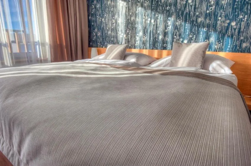 Bed in Hotel Vinice Hnanice