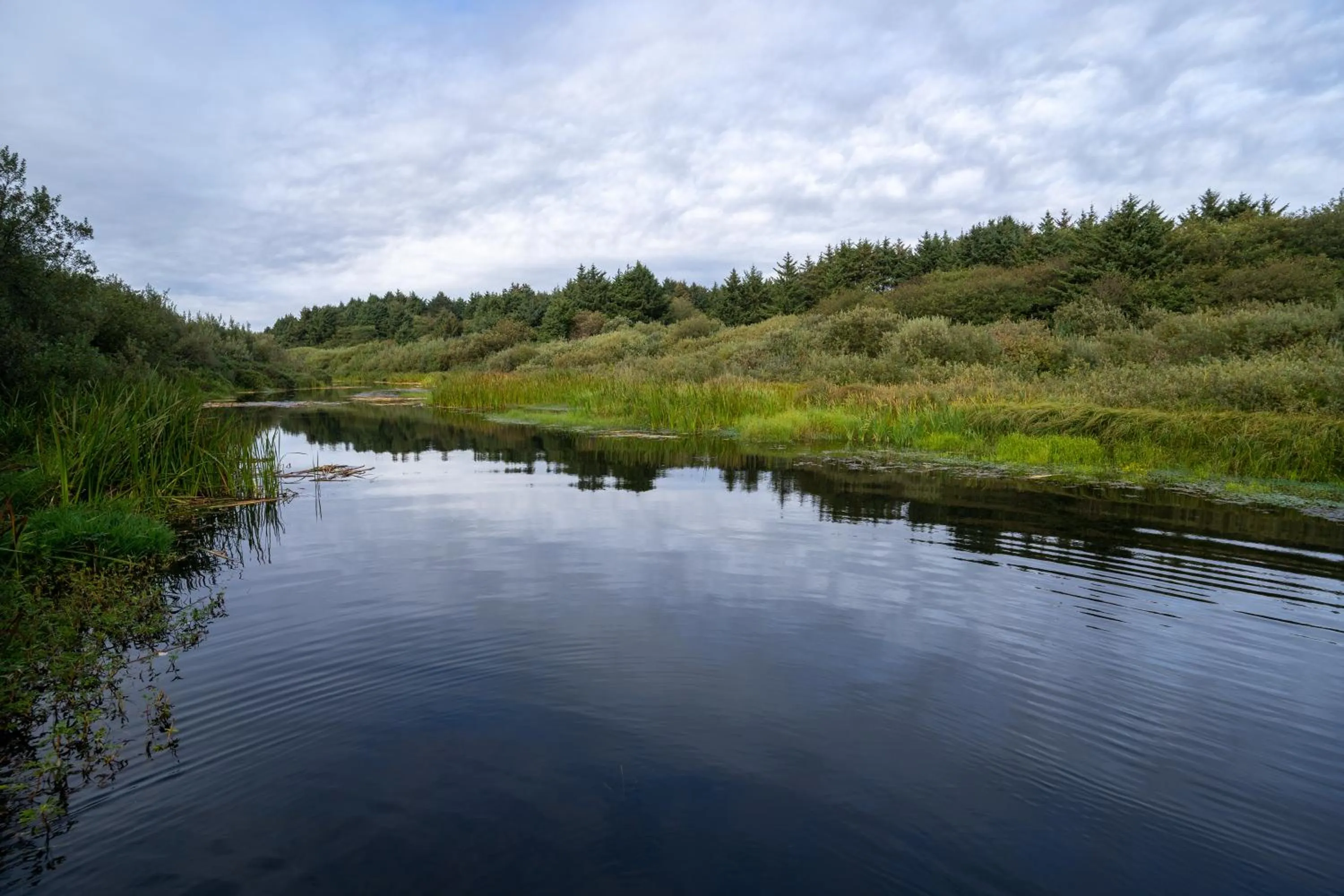 Natural landscape in Surfcrest Resort