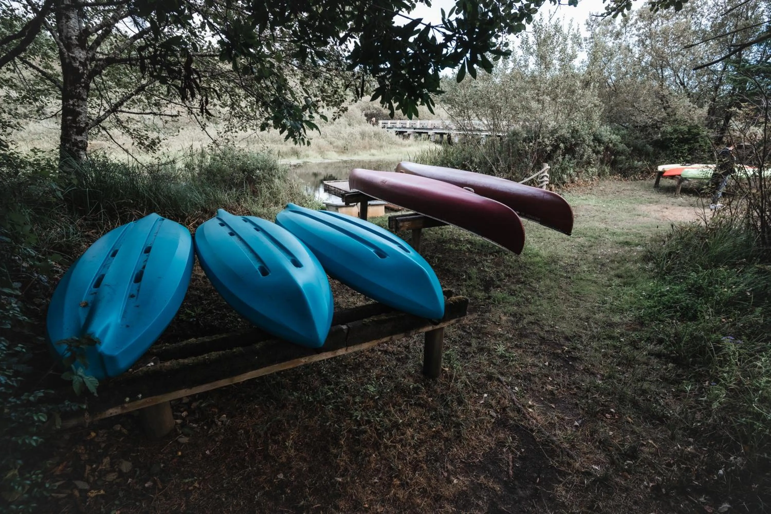 Natural landscape in Surfcrest Resort