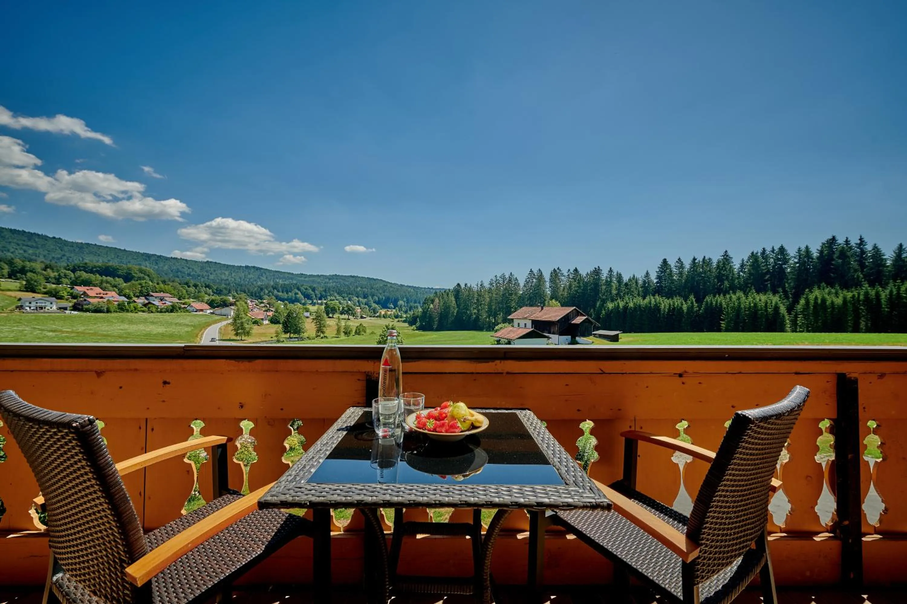 Balcony/Terrace in Landhotel Moorhof