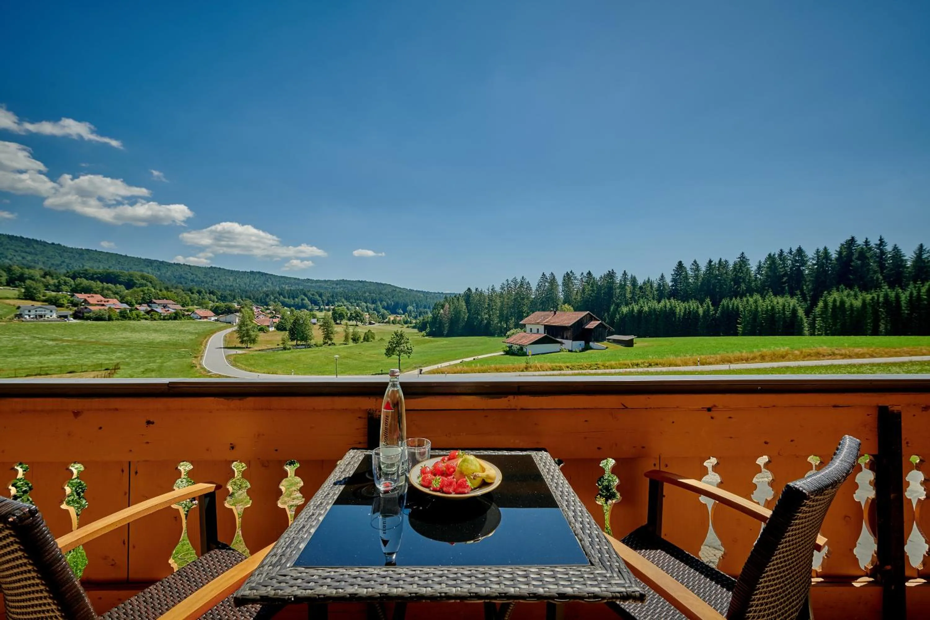 View (from property/room) in Landhotel Moorhof