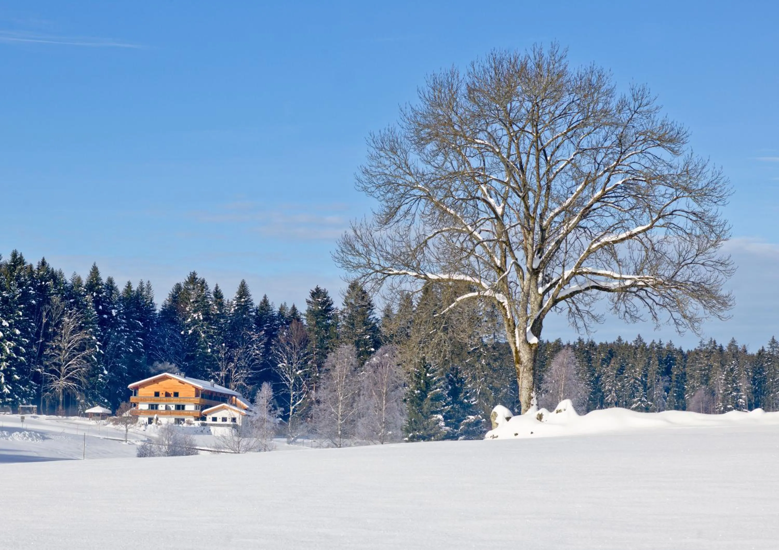 Property building in Landhotel Moorhof