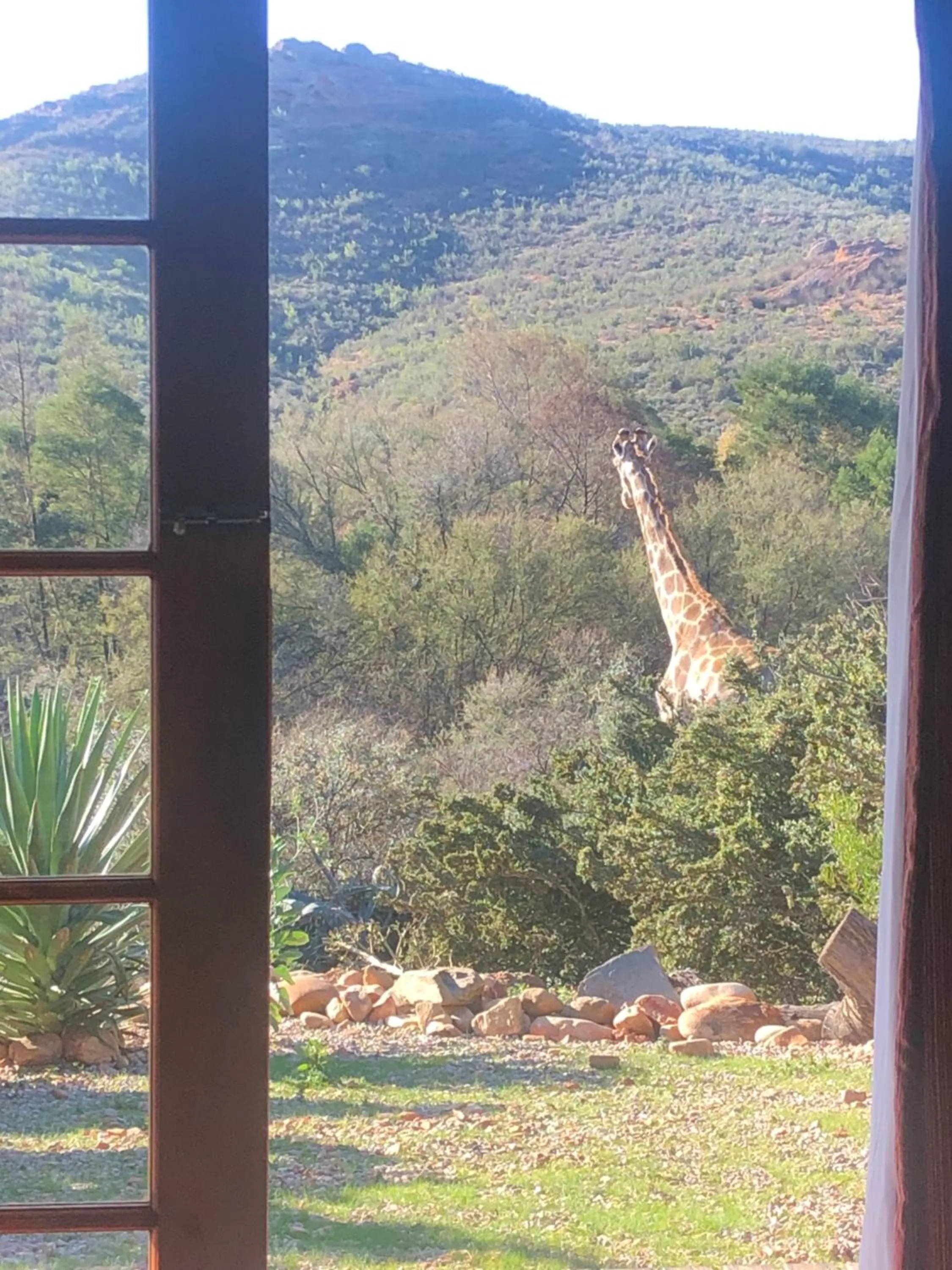 View (from property/room) in Zwartberg View Mountain Lodge