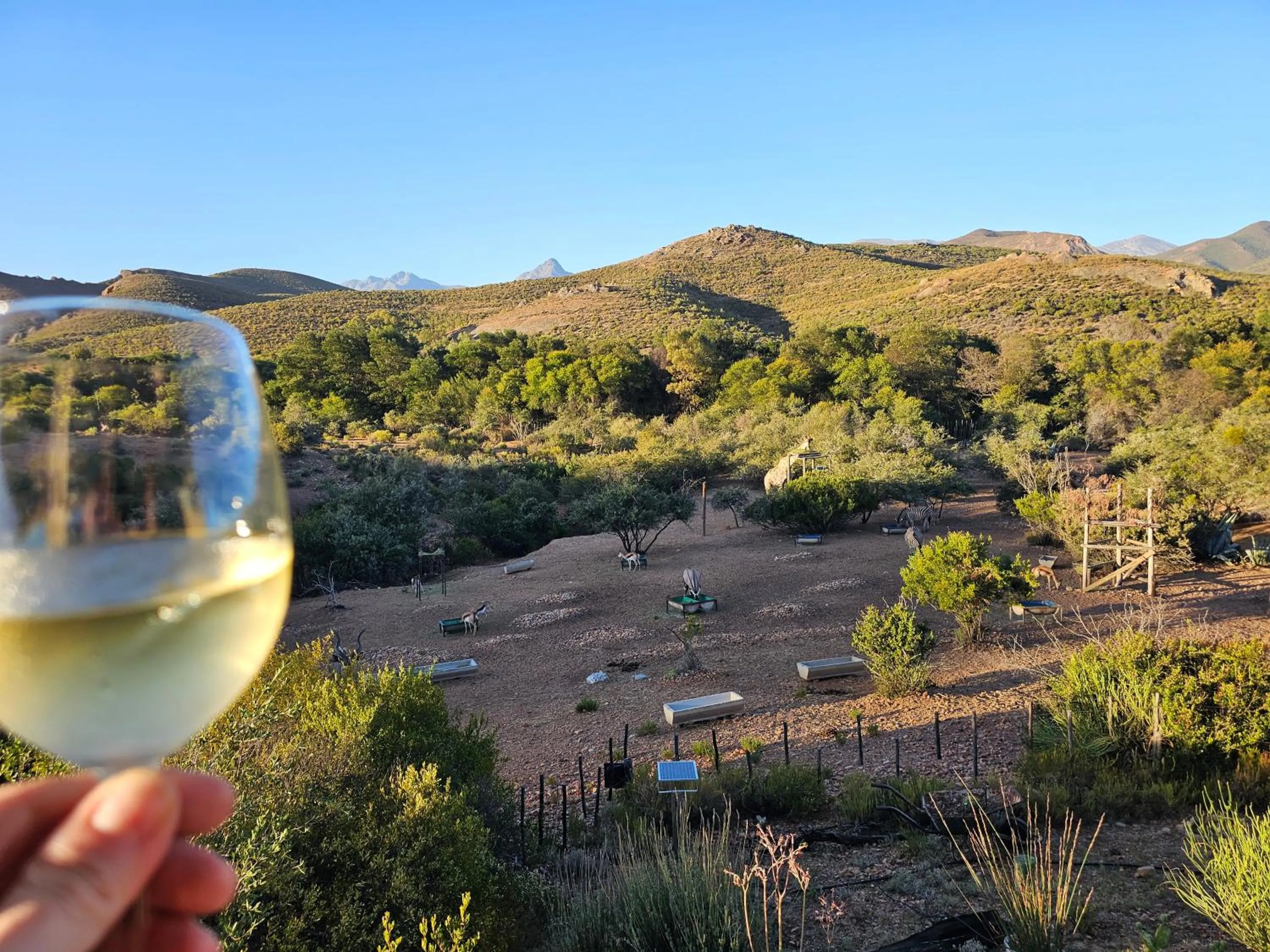 View (from property/room) in Zwartberg View Mountain Lodge